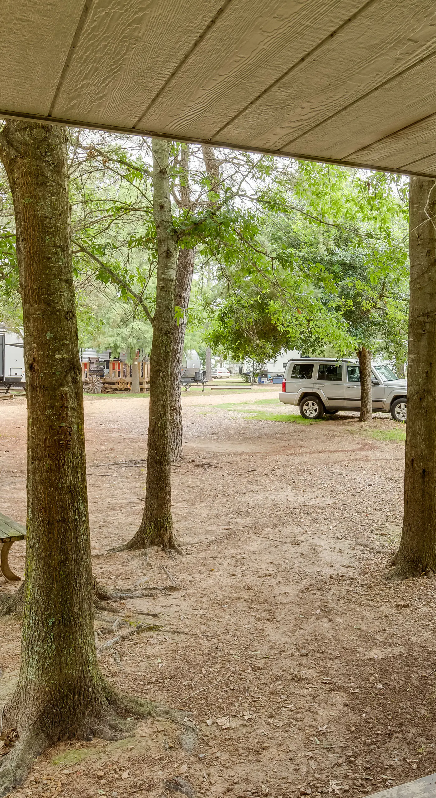 Emory Studio Cabin w/ Lake Fork Boat Access!