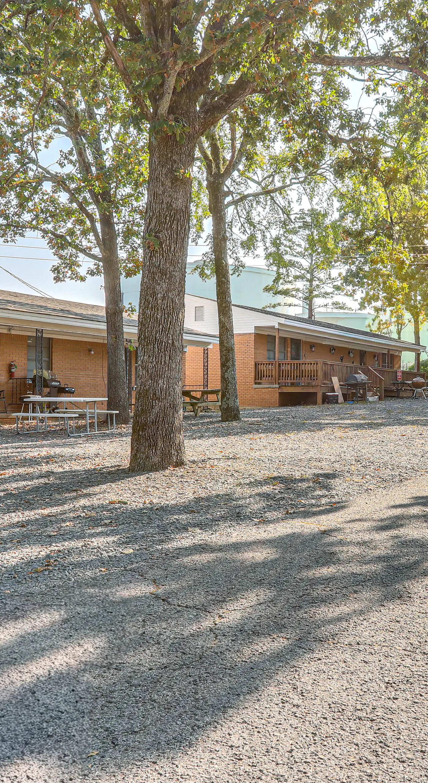 Shared Dock & Yard: Greers Ferry Lake Home!