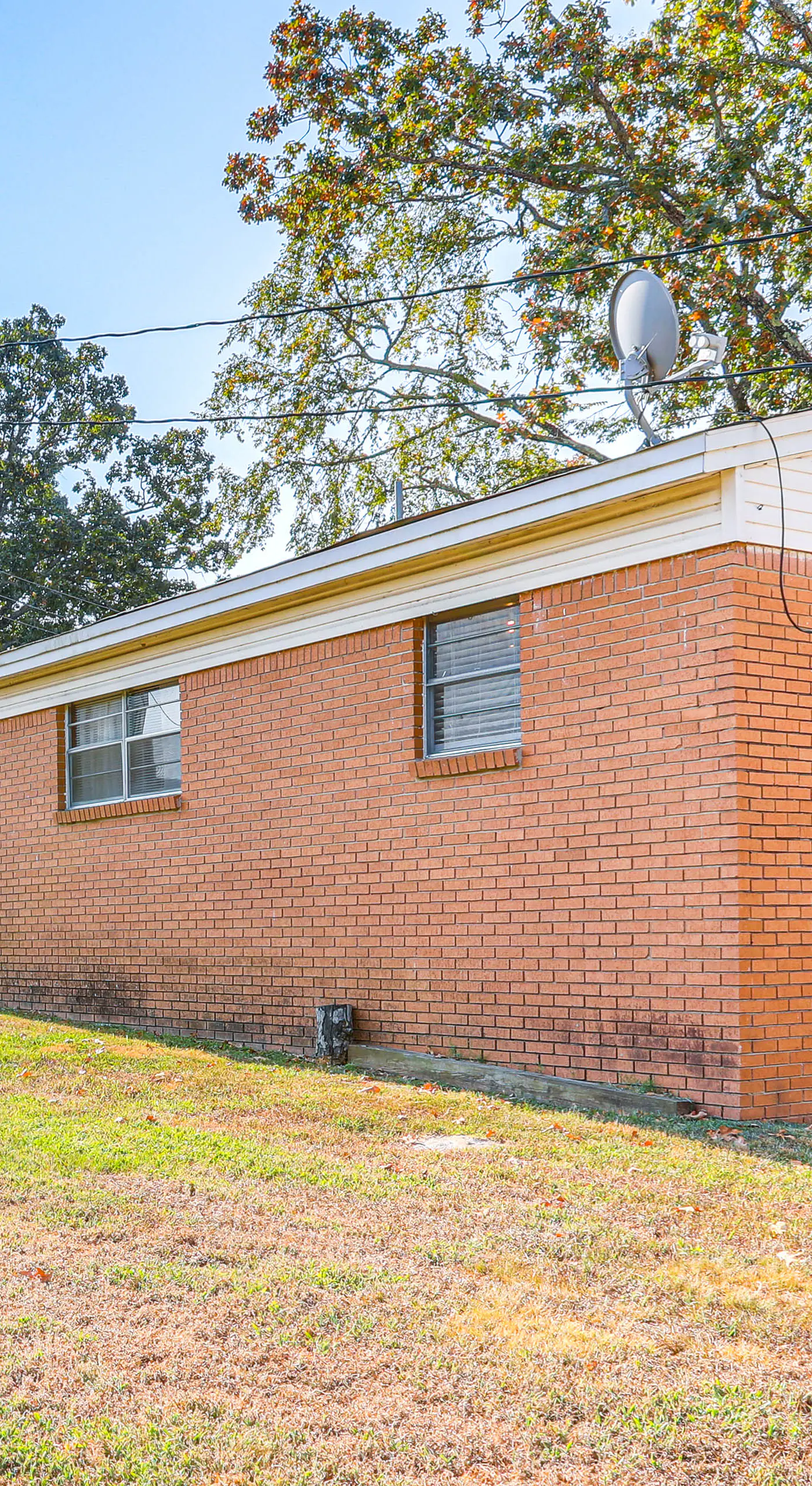 Shared Dock & Yard: Greers Ferry Lake Home!