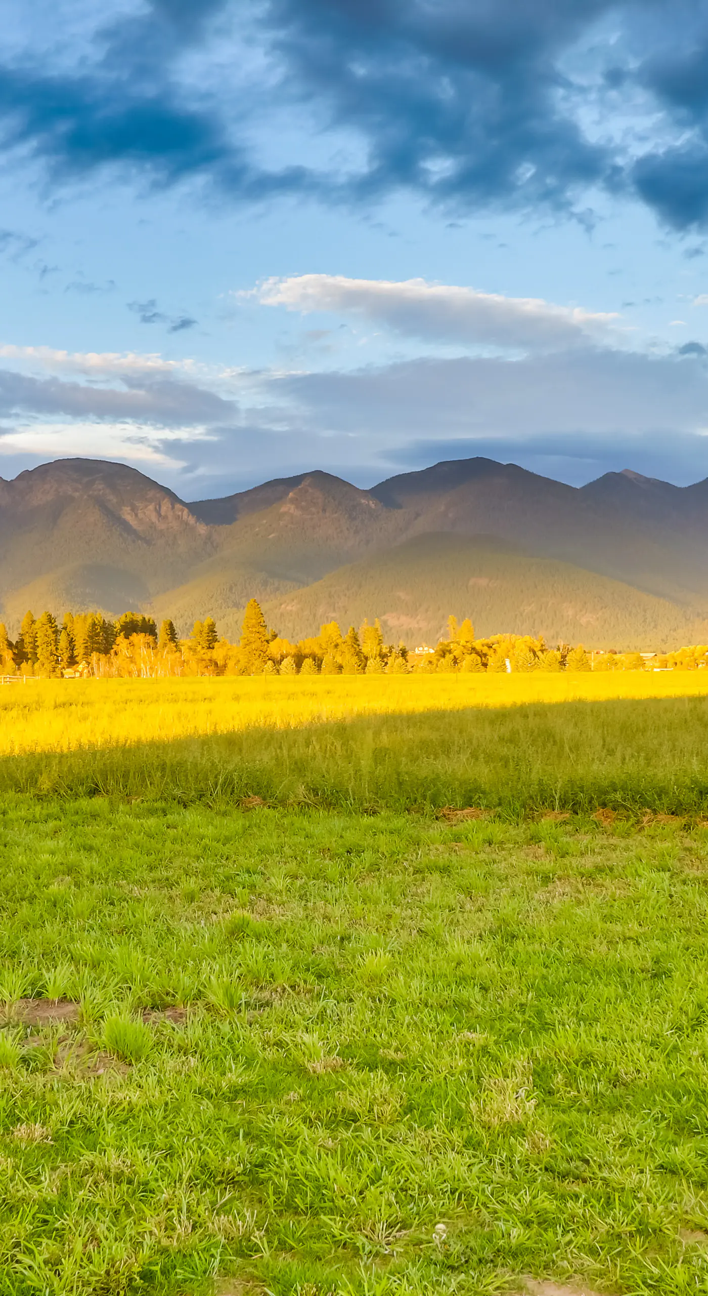 Kalispell Mountain Getaway w/ Hot Tub & Fire Pit!