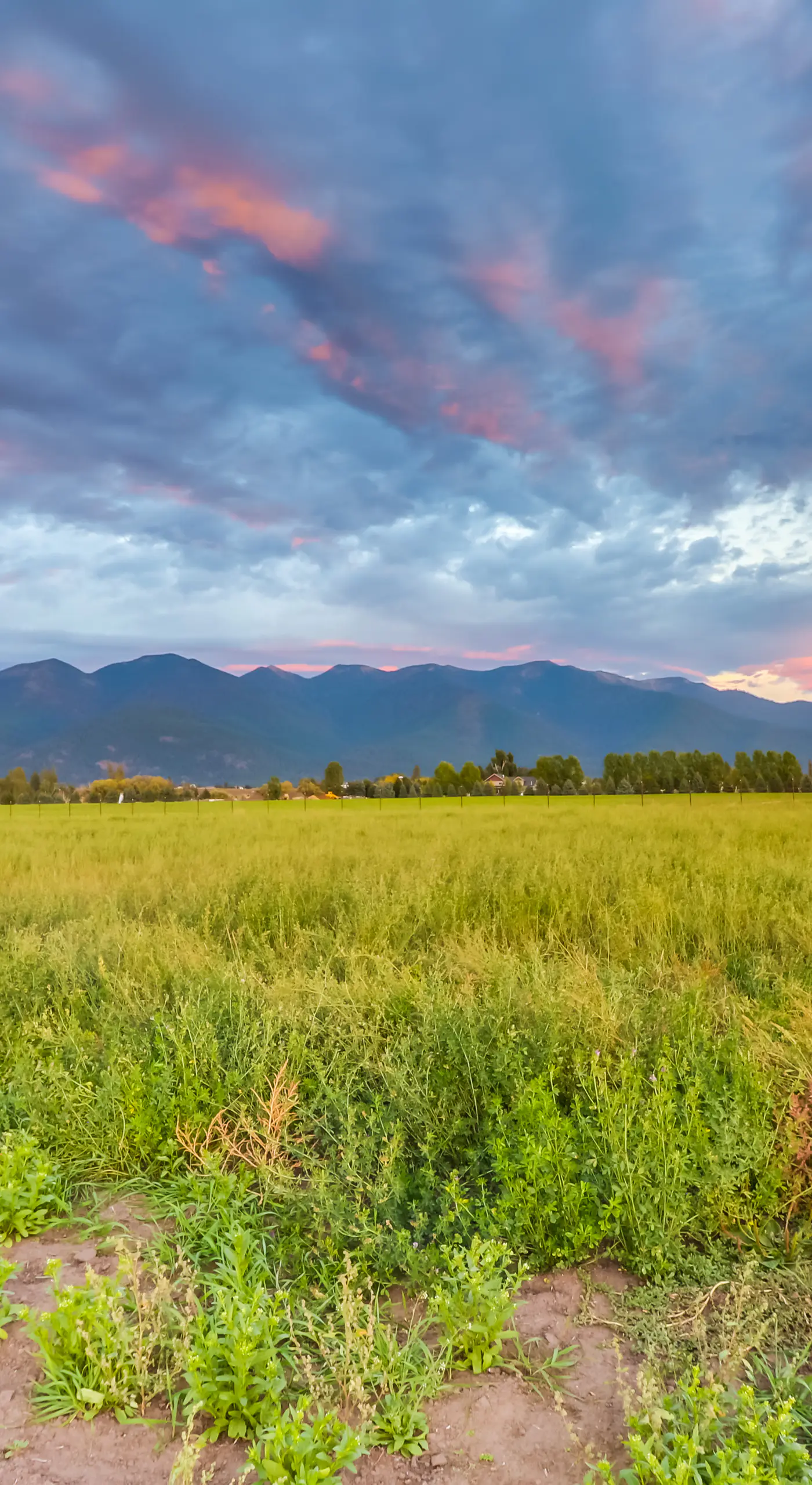 Kalispell Mountain Getaway w/ Hot Tub & Fire Pit!