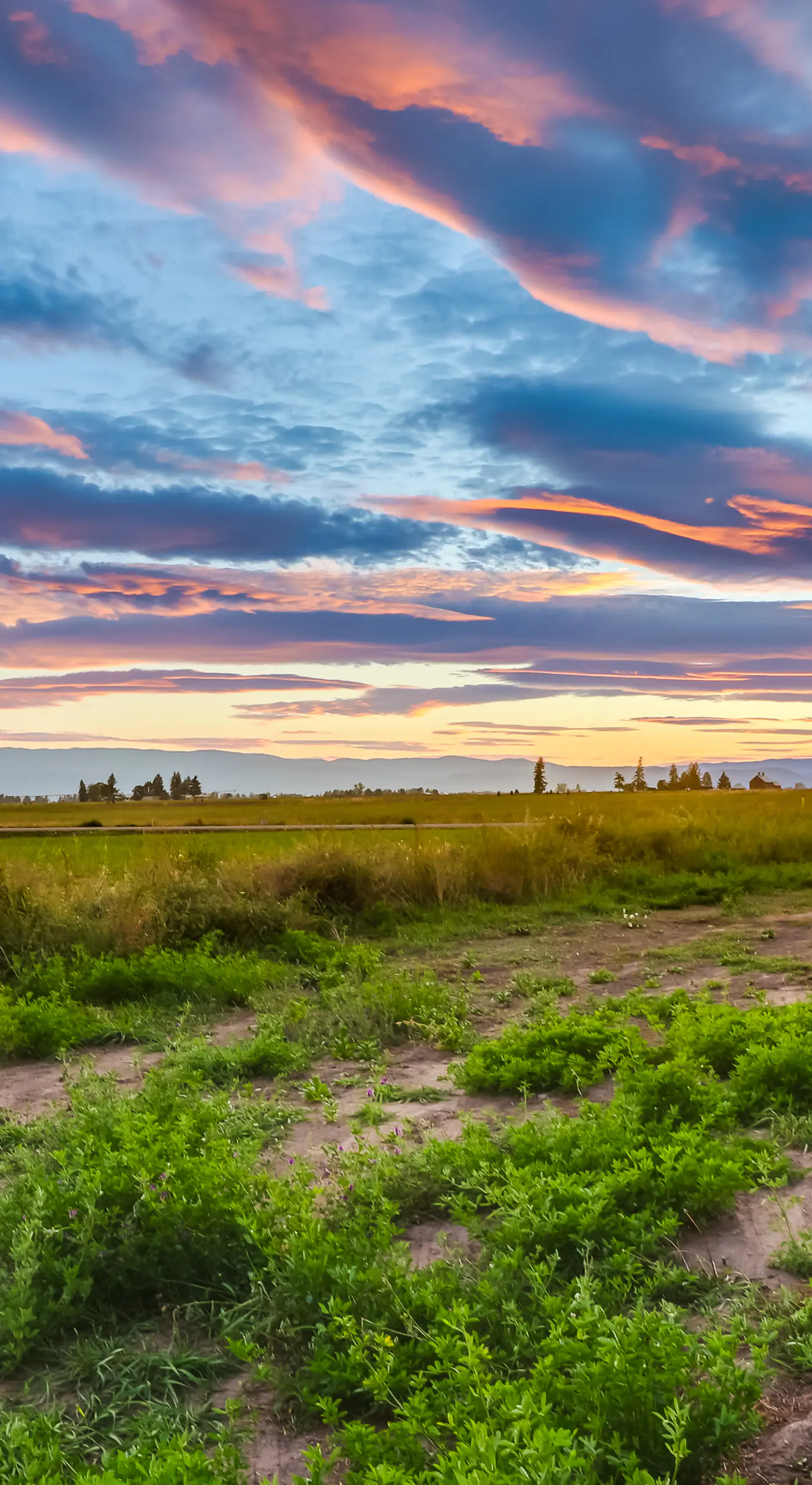 Kalispell Mountain Getaway w/ Hot Tub & Fire Pit!