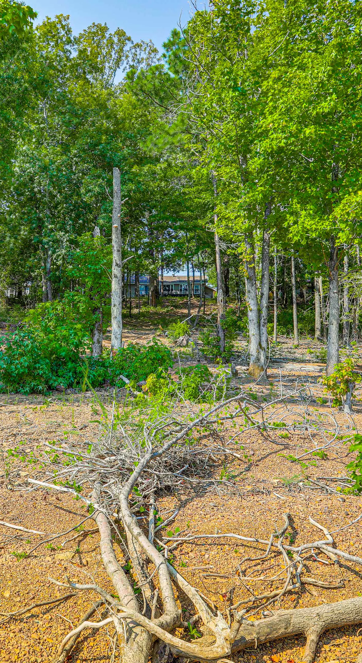 Spacious Heber Springs Home - Easy Marina Access!