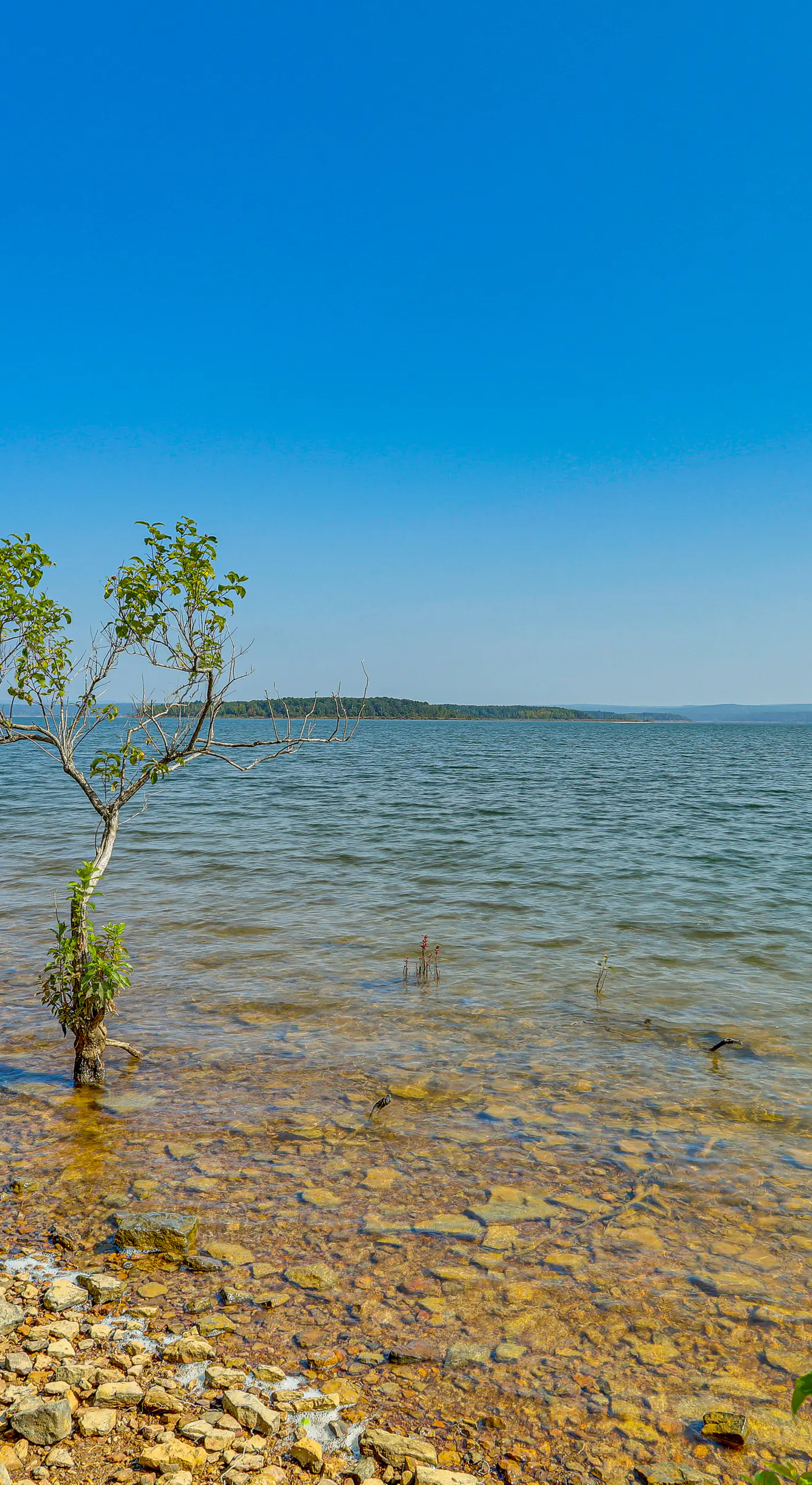 Spacious Heber Springs Home - Easy Marina Access!