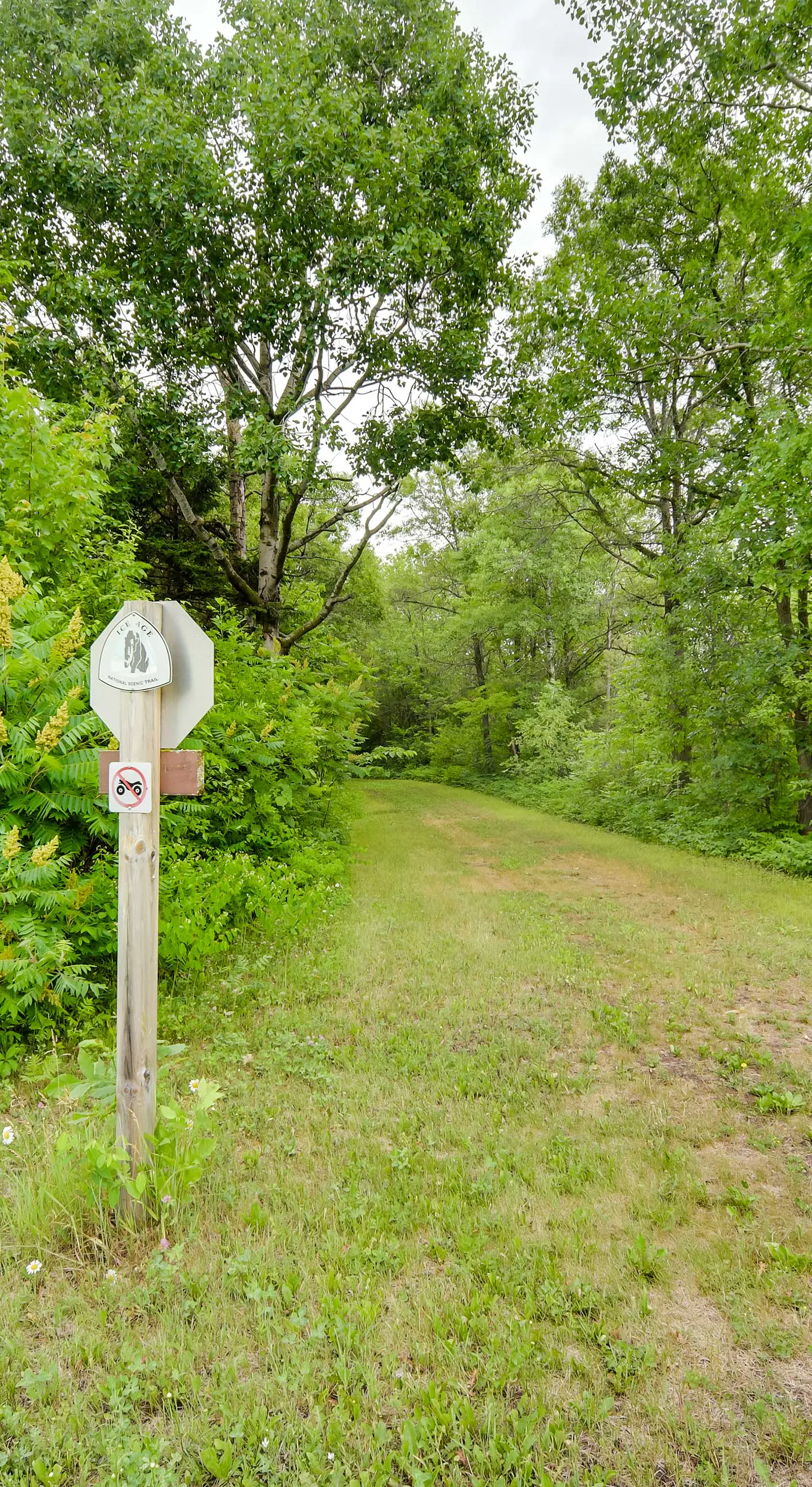 Riverfront Bliss in Rice Lake: Deck, Grill & Hike!