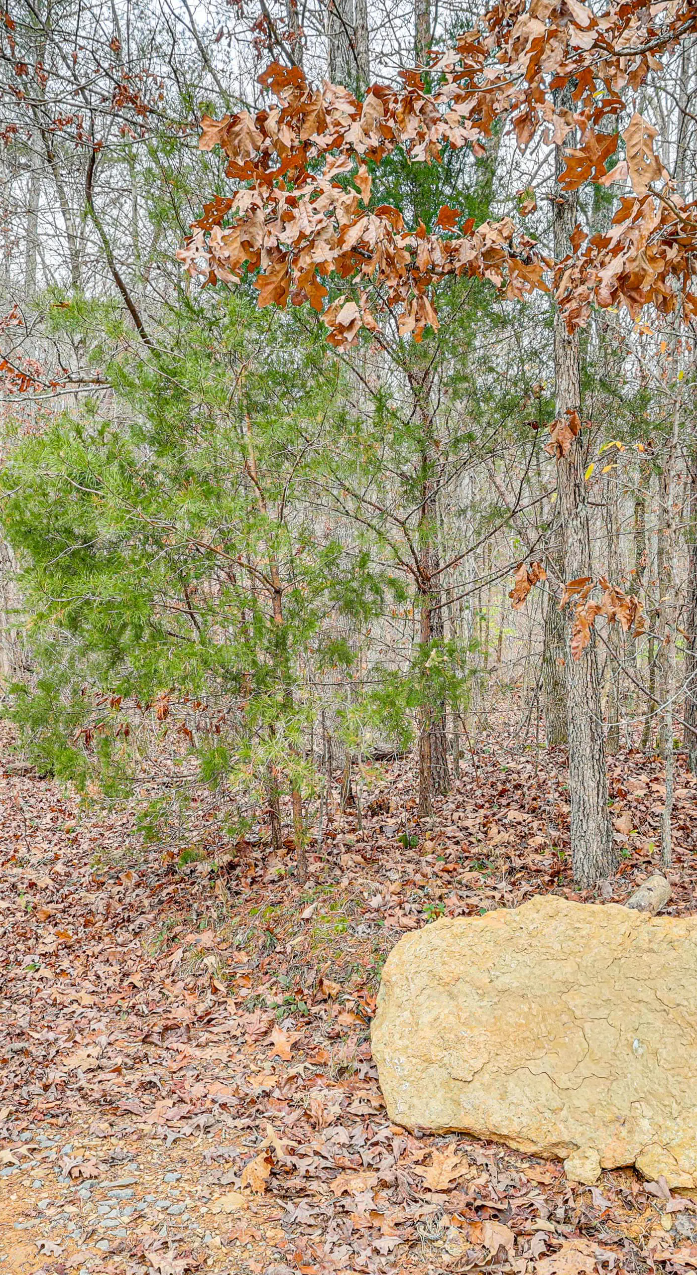 Hiker’s Hideaway w/ Hot Tub Near Lookout Mountain