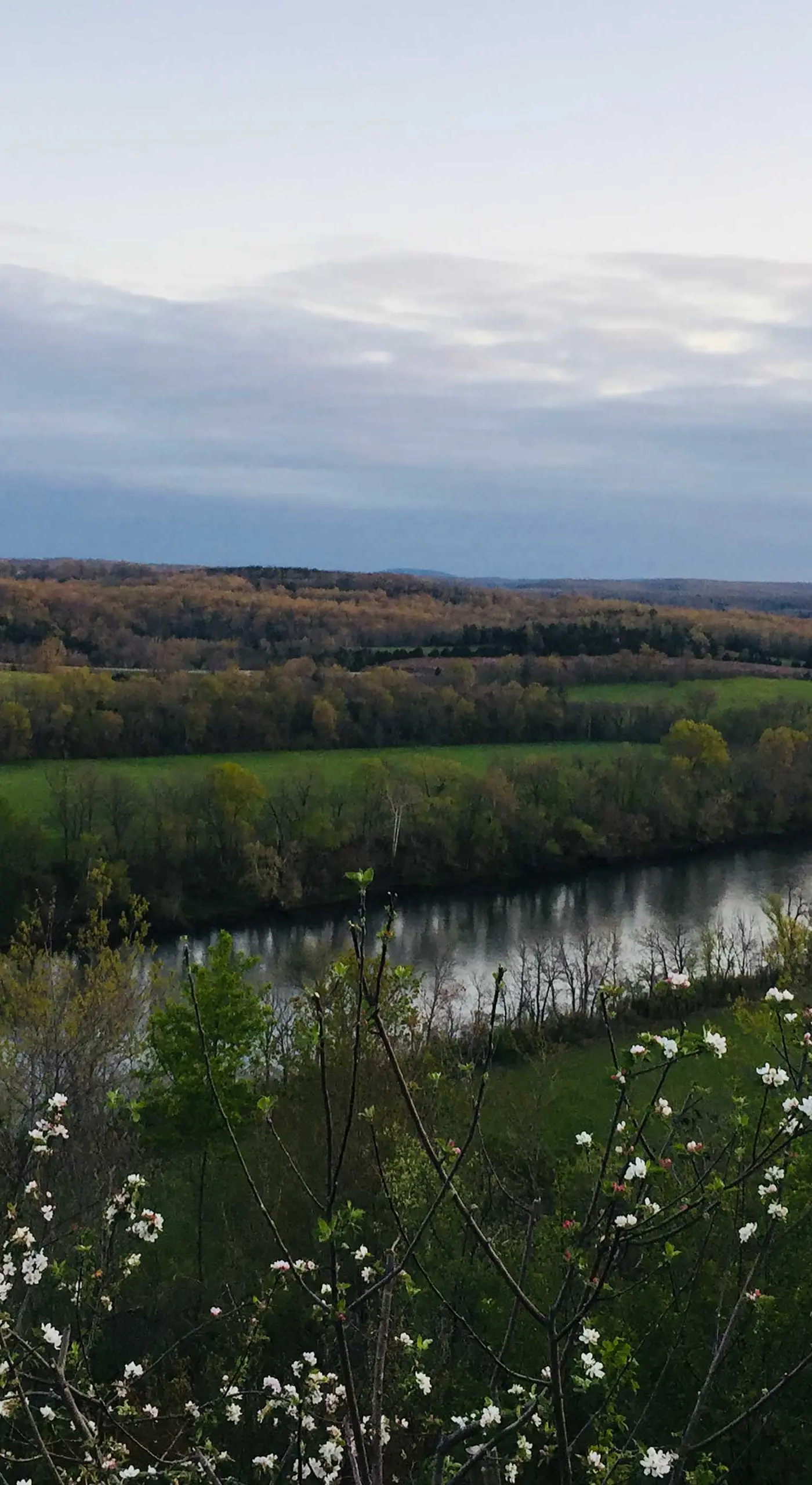 Riverfront Arkansas Retreat Near Fishing & Hiking!
