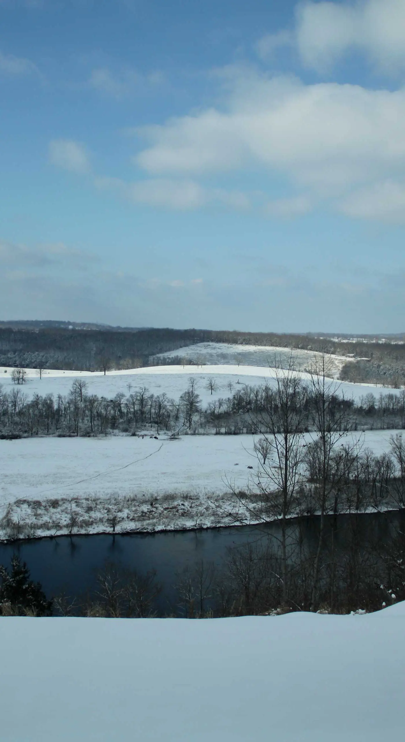 Riverfront Arkansas Retreat Near Fishing & Hiking!