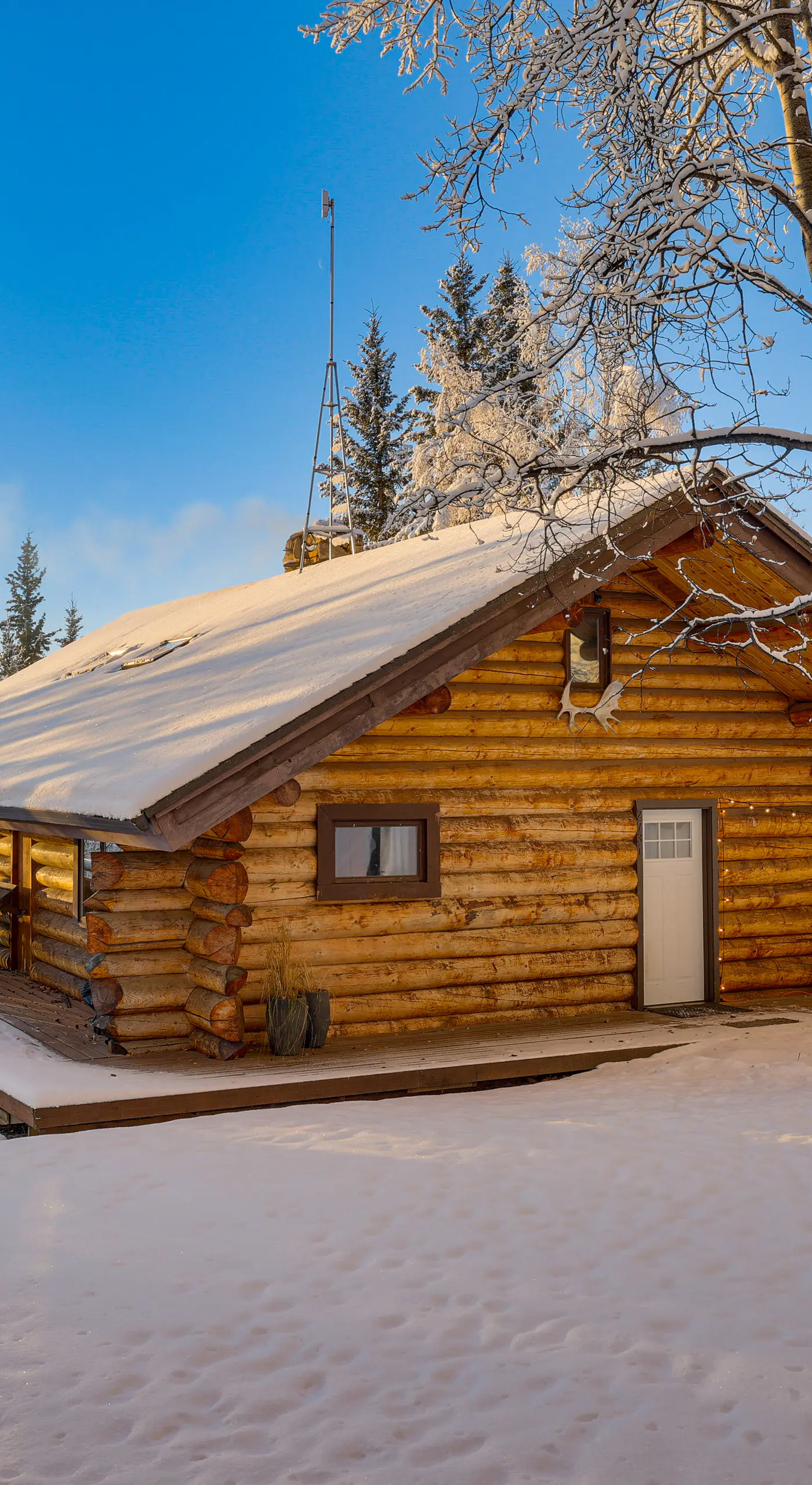 Explore Fairbanks! Authentic Log Cabin w/ Views