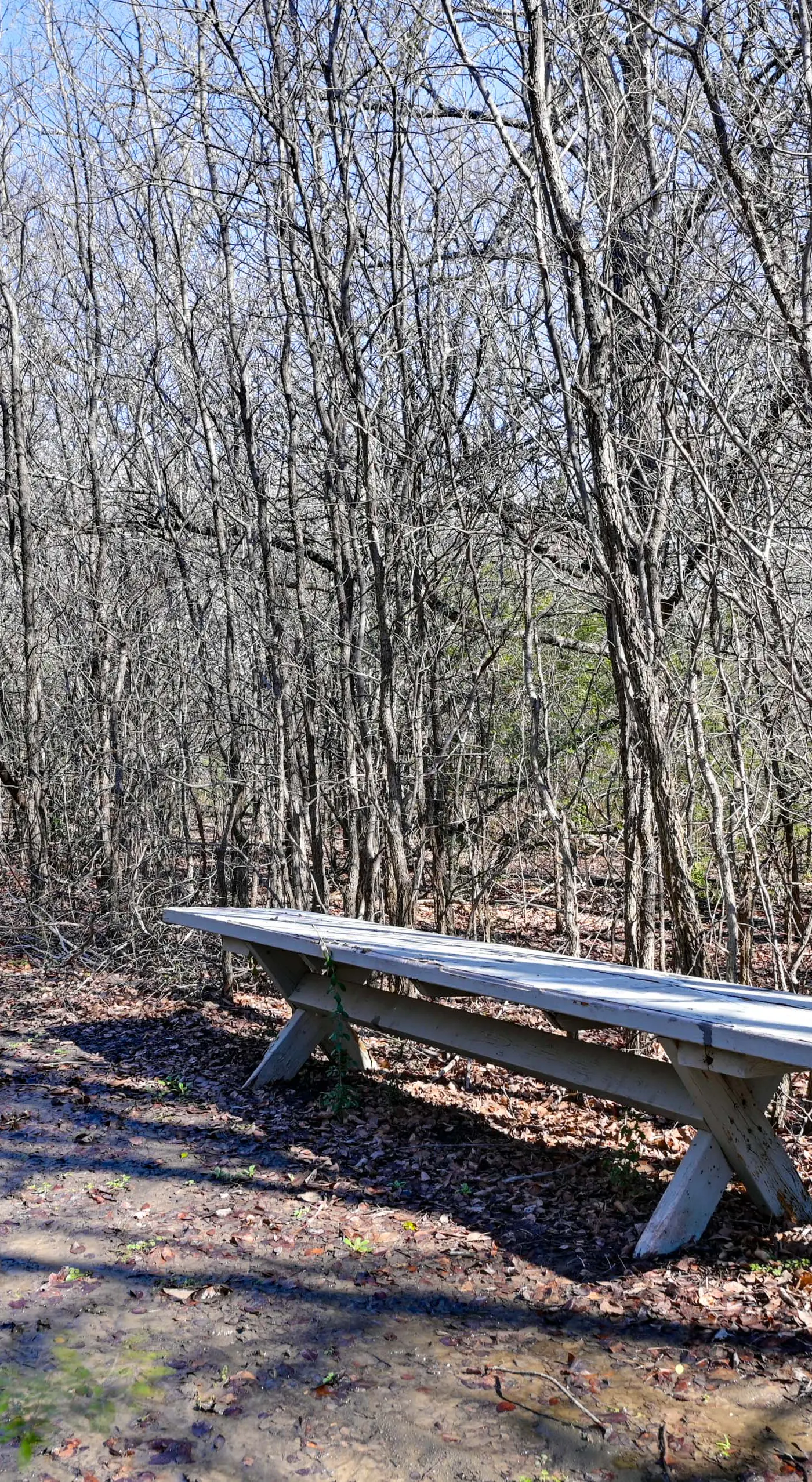 'Little Elm Diamond' - Steps to Lewisville Lake!