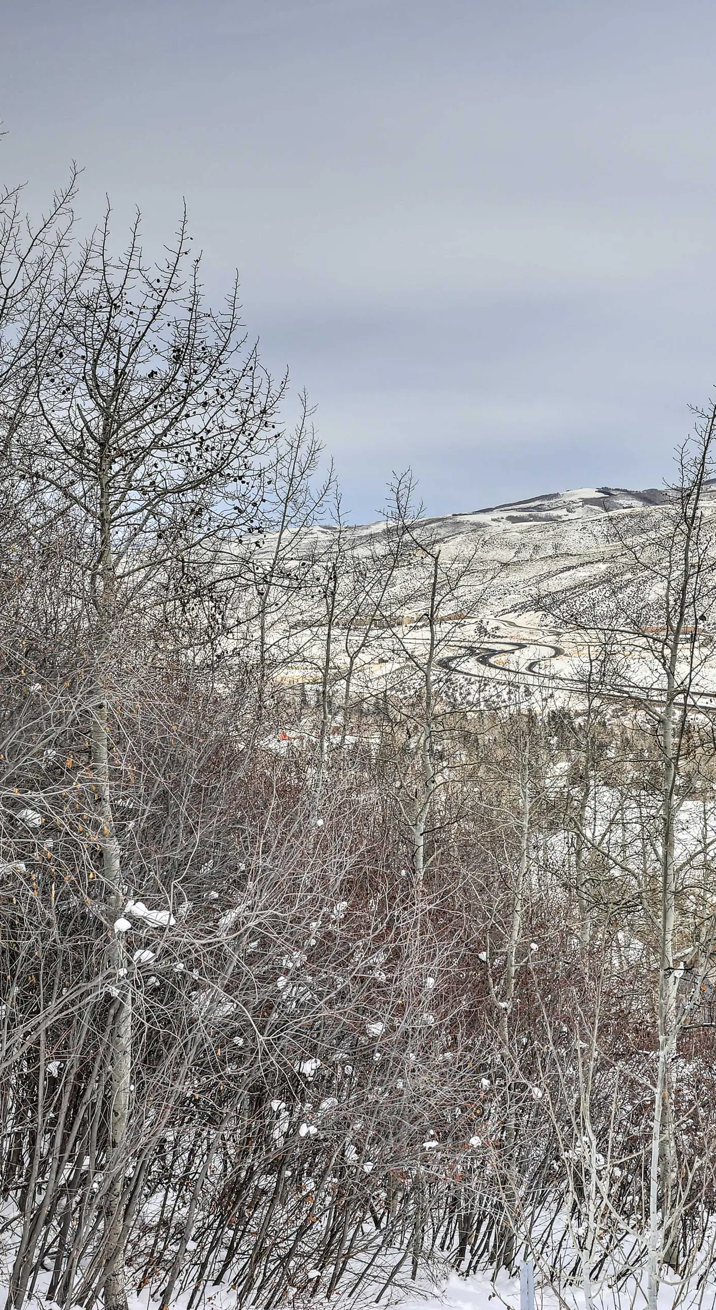 Avon Duplex w/ Hot Tub: Near Vail Hiking & Golf!