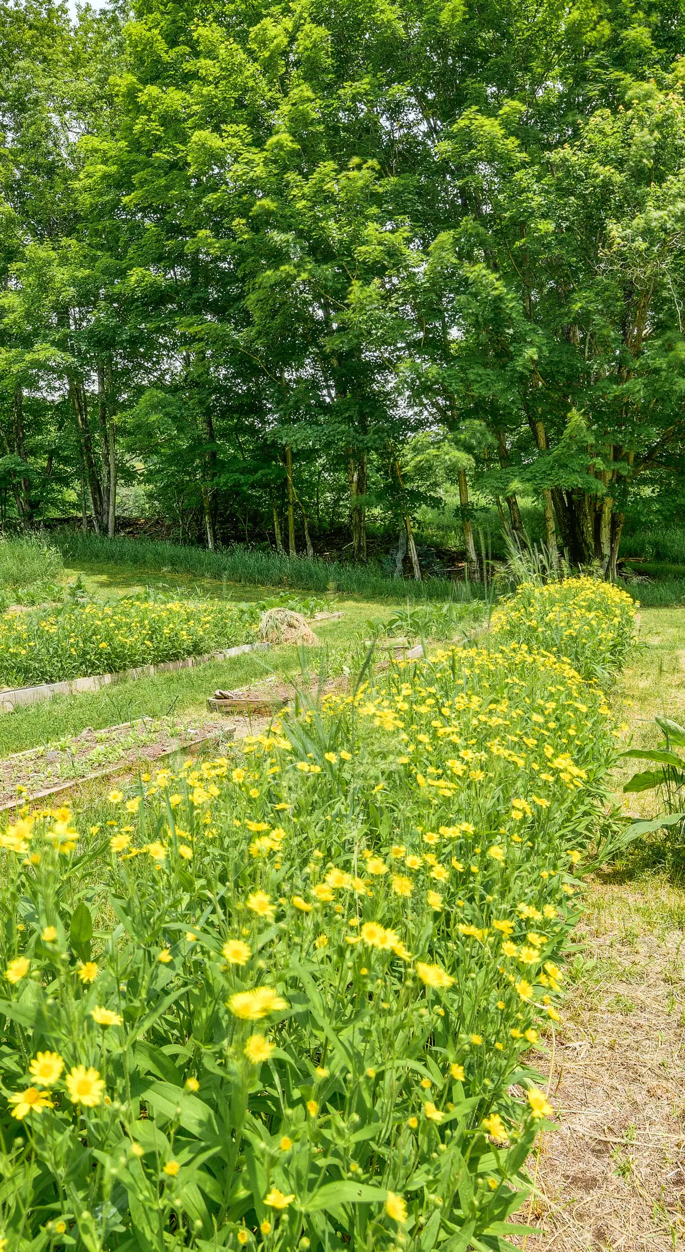 Cozy Catskills Vacation Rental with Deck!