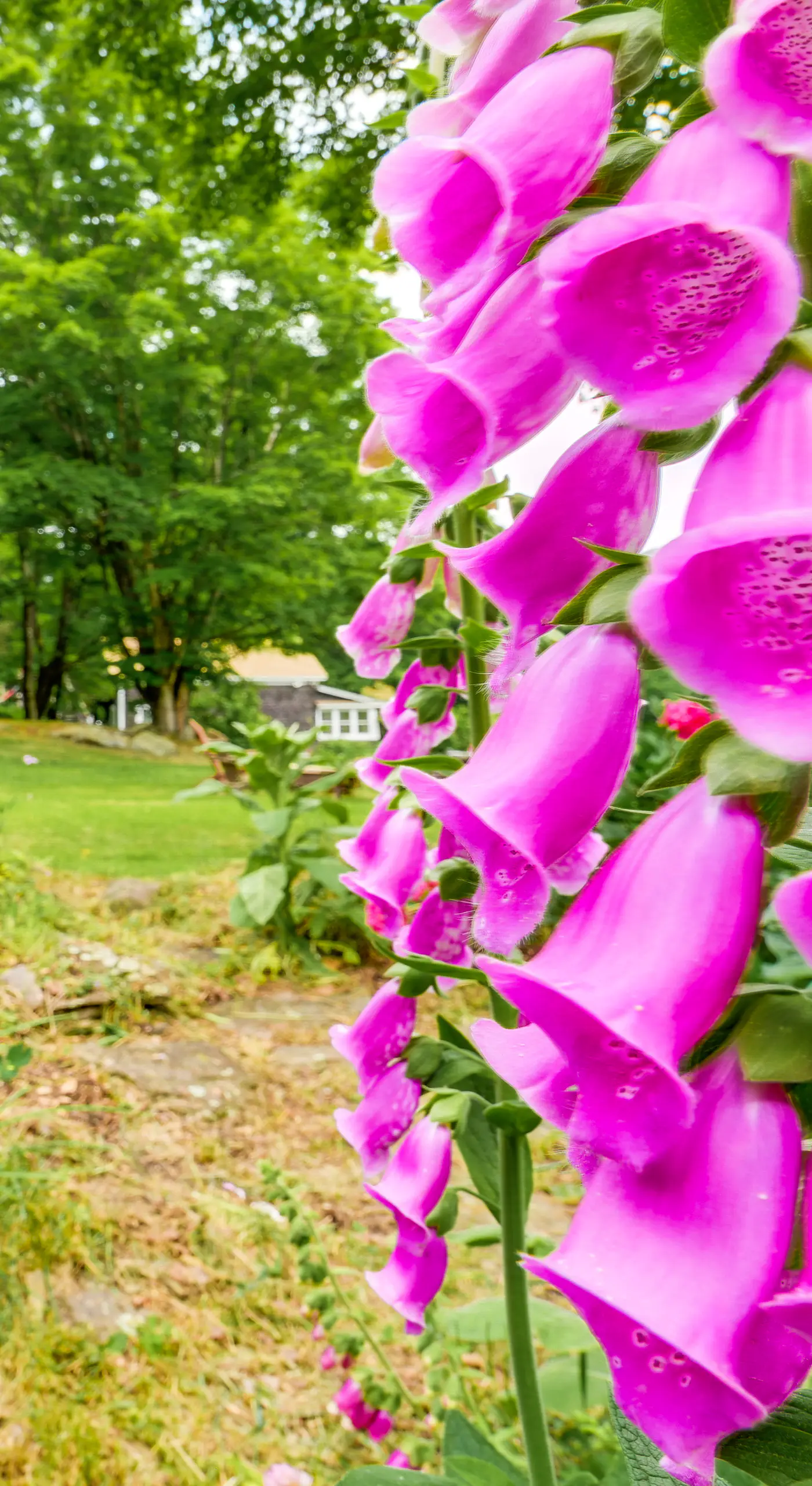 Cozy Catskills Vacation Rental with Deck!