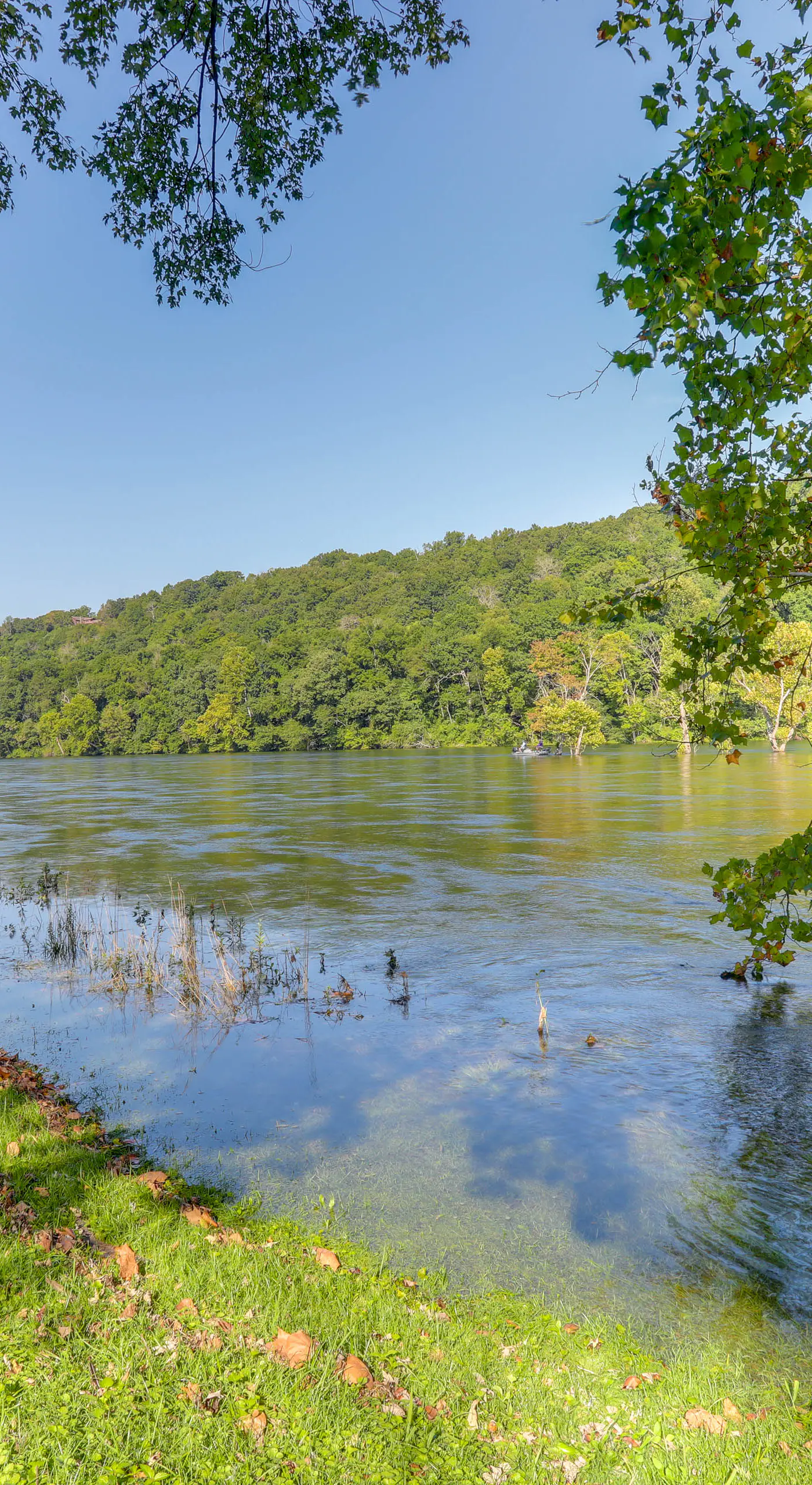 Riverfront Home w/ Porches & Views in Cotter!