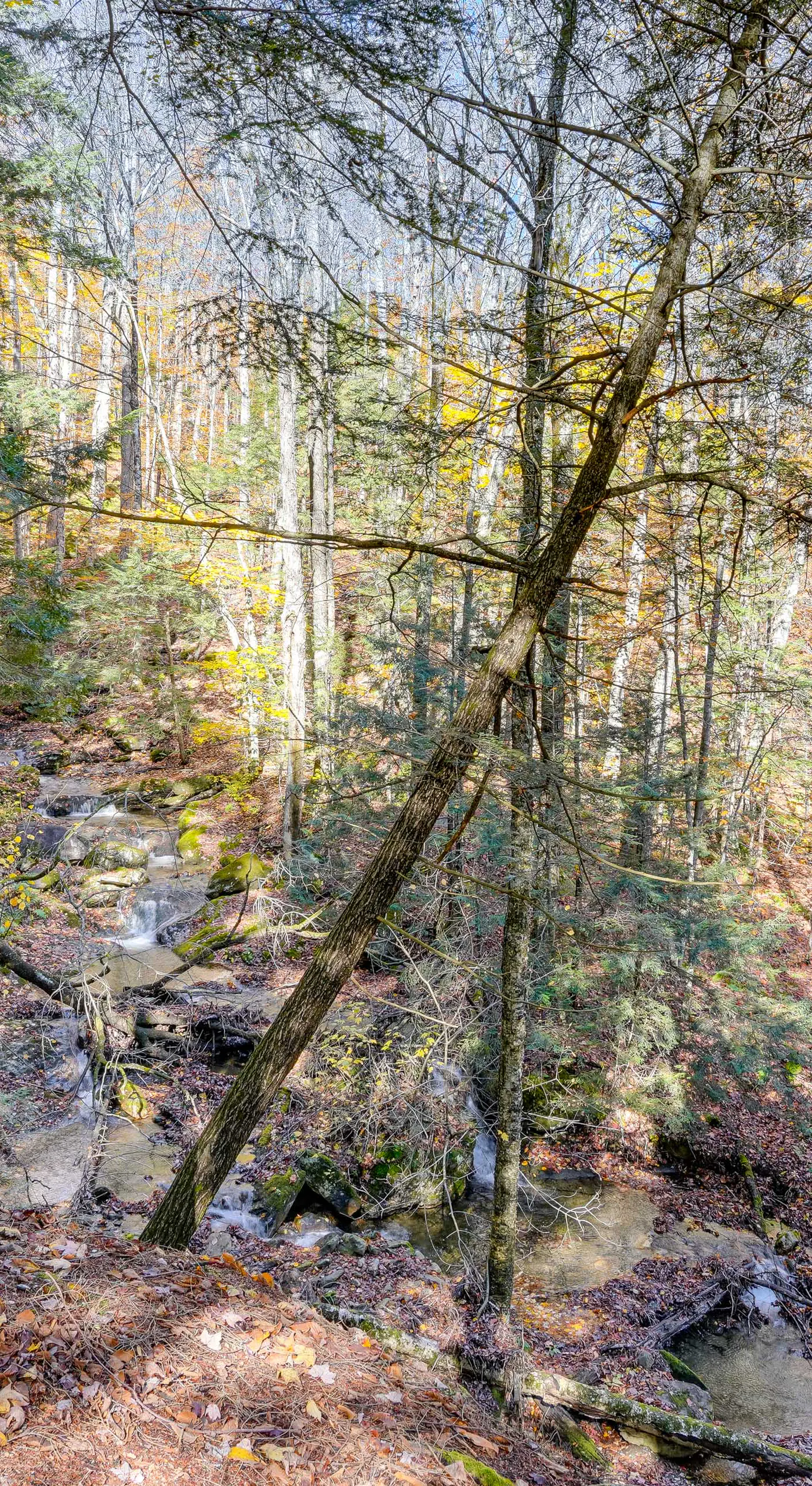 Wilmington Vacation Rental Near Hiking and Skiing!