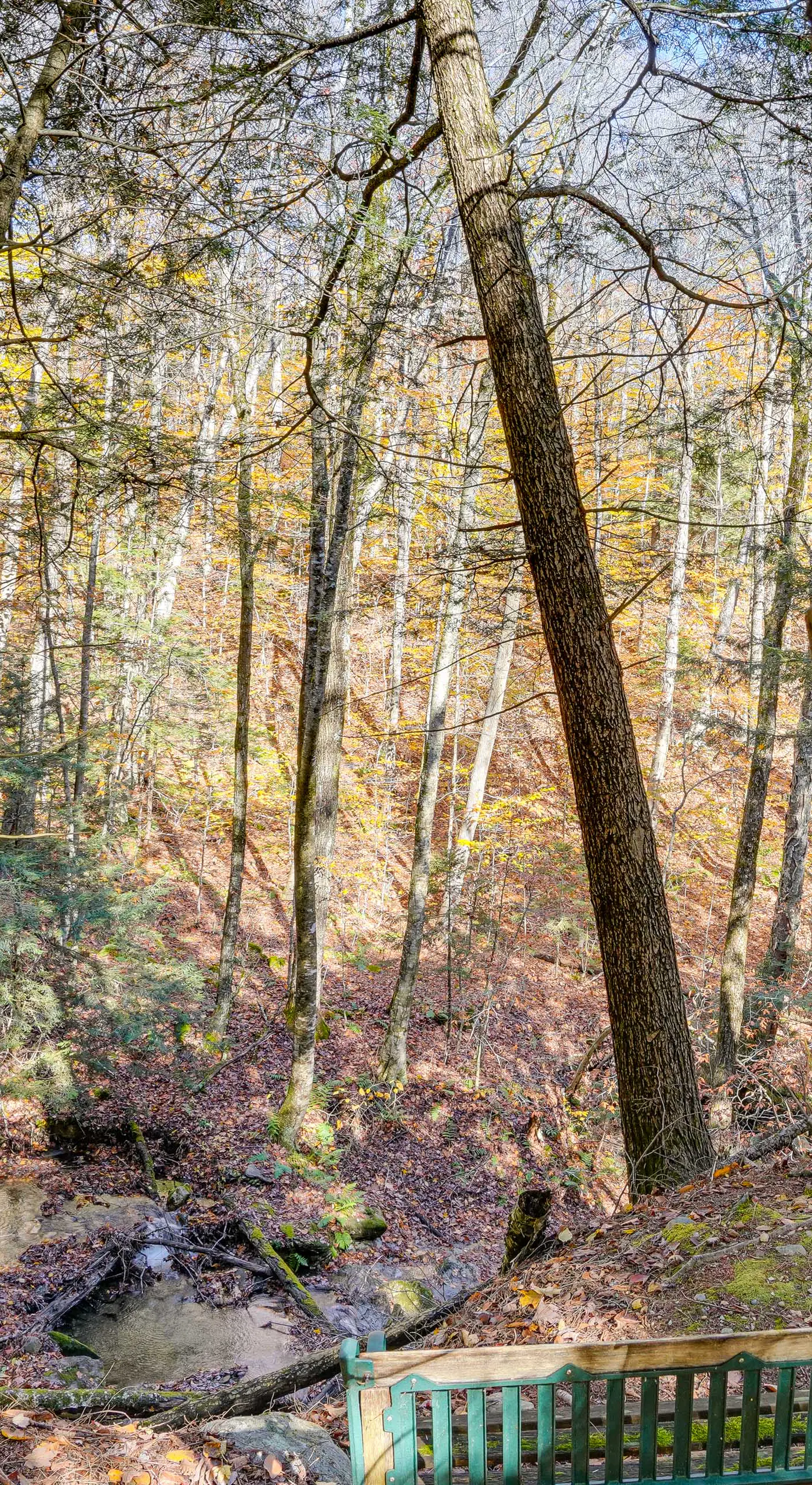 Wilmington Vacation Rental Near Hiking and Skiing!