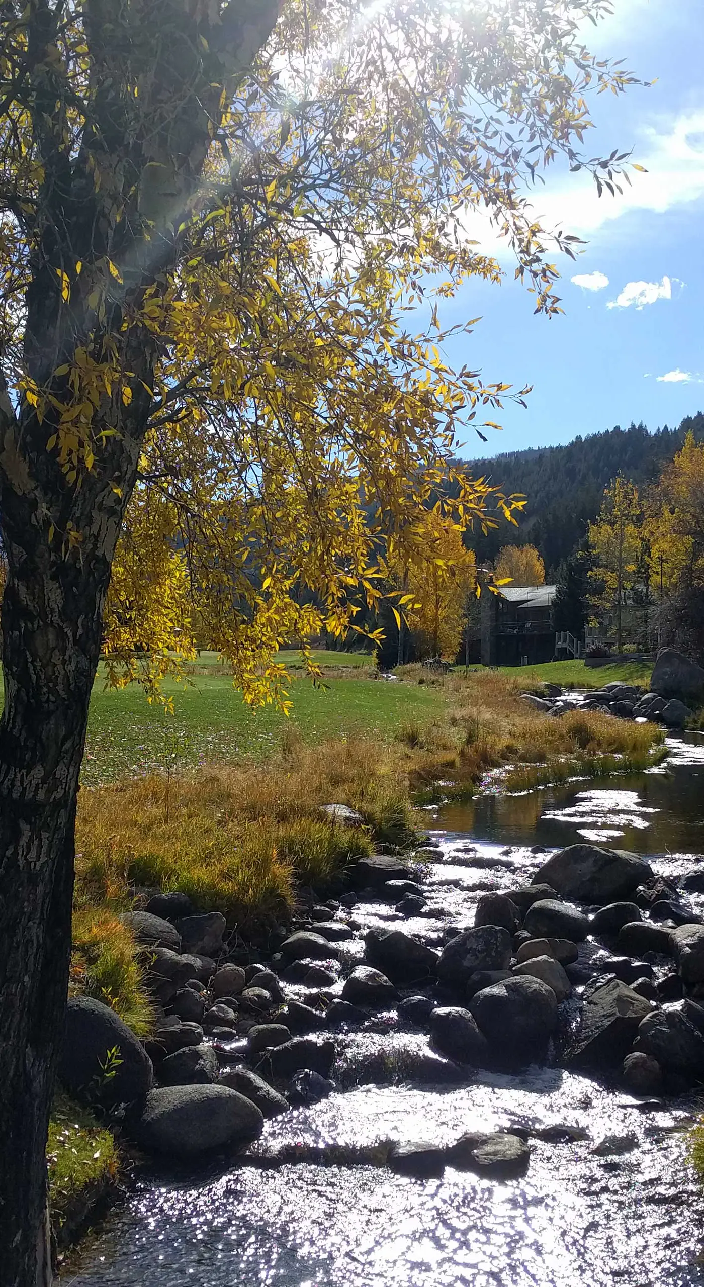 Luxe Vail Valley Retreat w/ Hot Tub!
