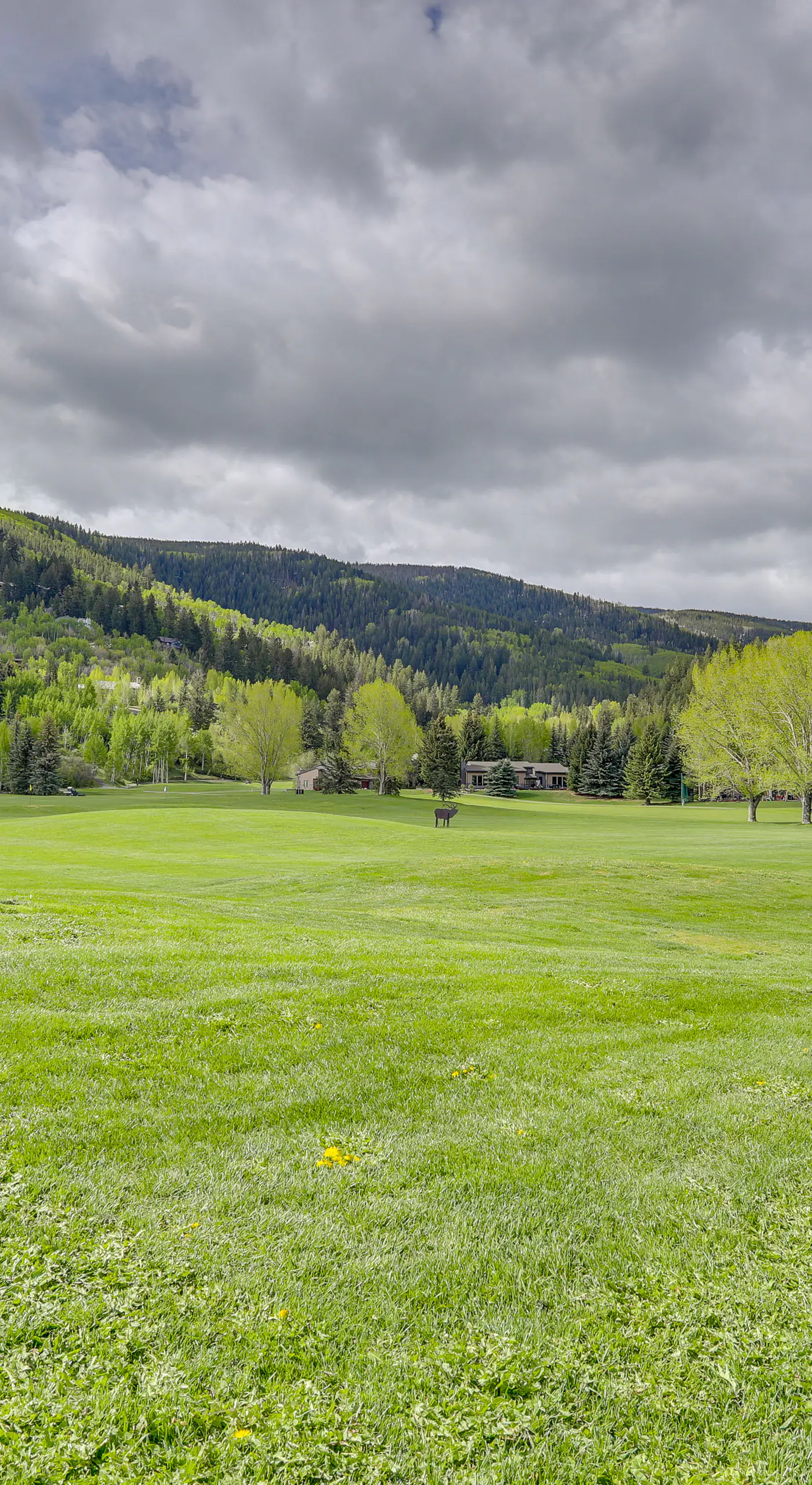 Eagle-Vail Hideaway w/ Golf, Ski, and More!