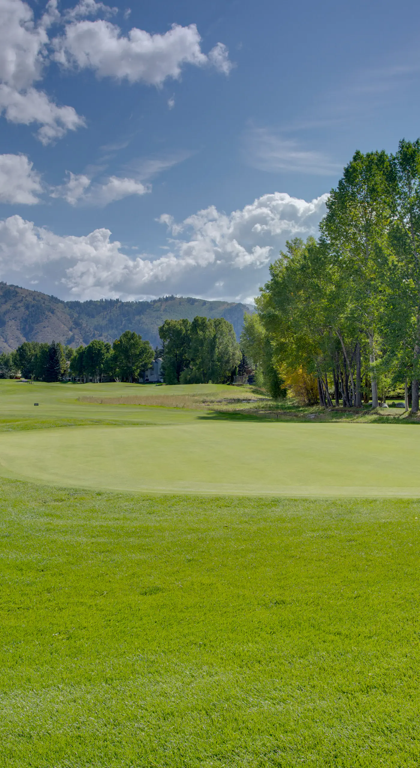Avon Duplex Between Beaver Creek & Vail Resorts!