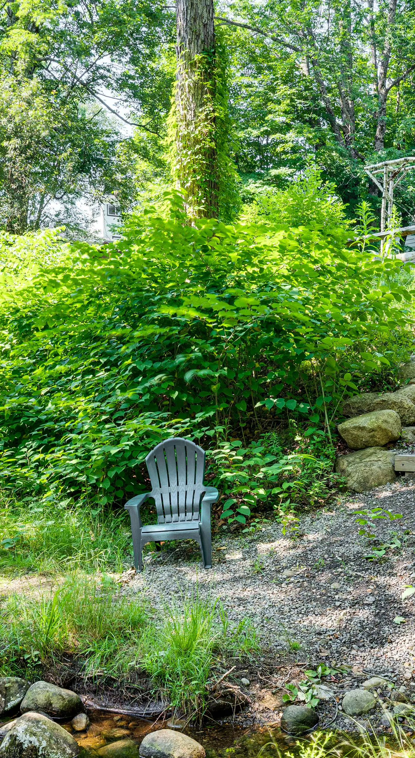 Walkable North Woodstock Home on Main Street!