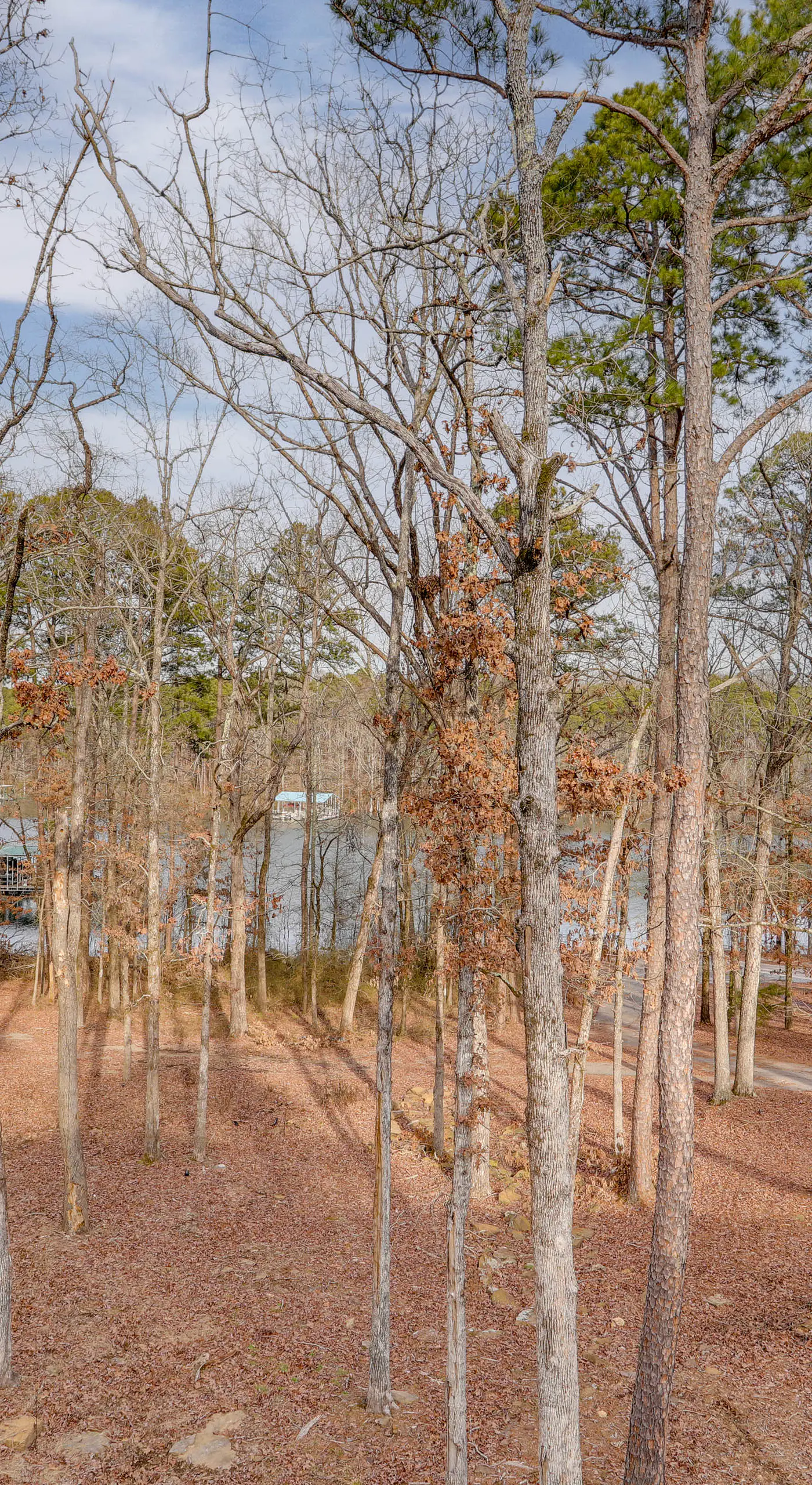 Greers Ferry Lake Access & Deck: Group Getaway!