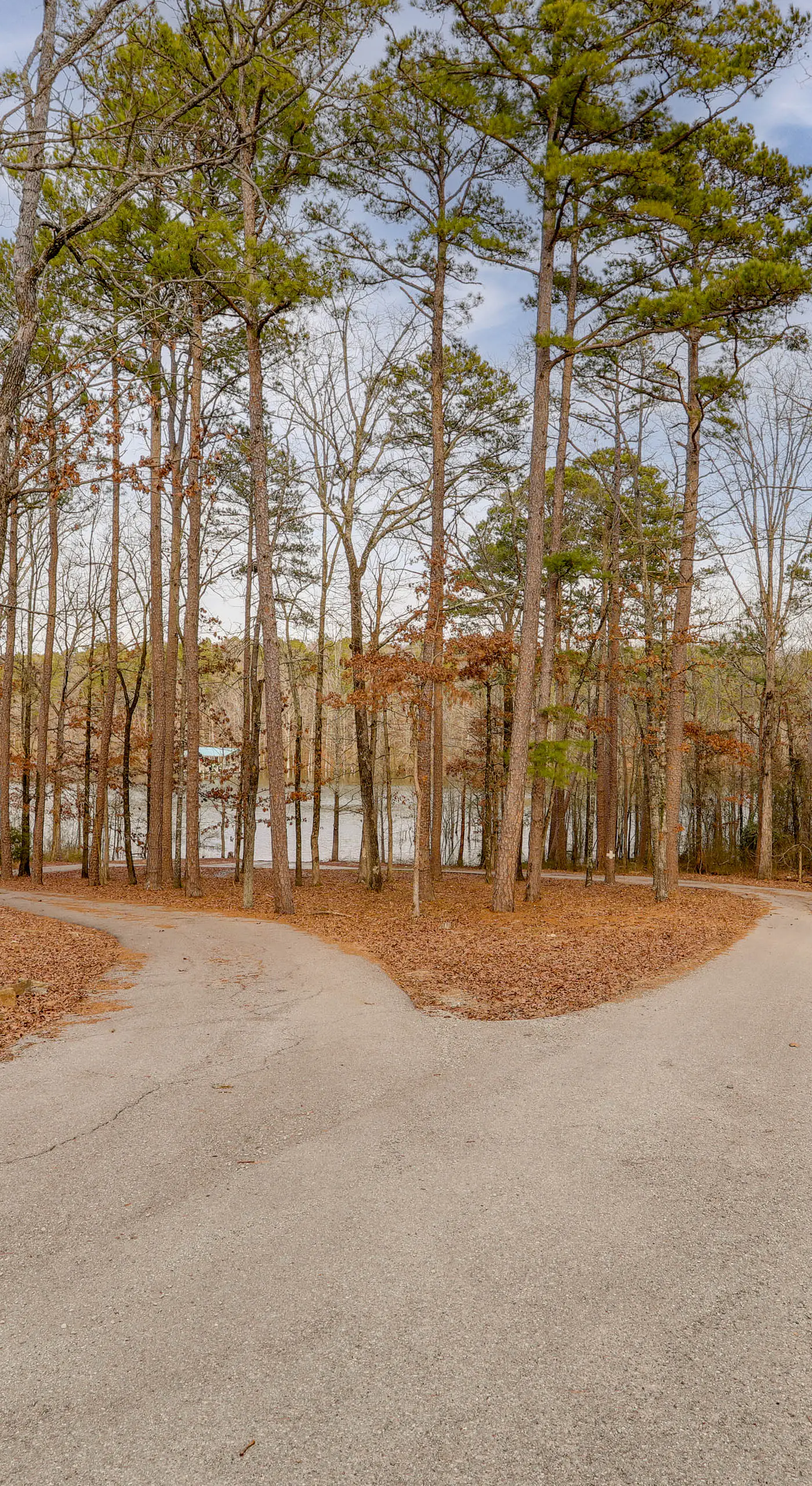 Greers Ferry Lake Access & Deck: Group Getaway!