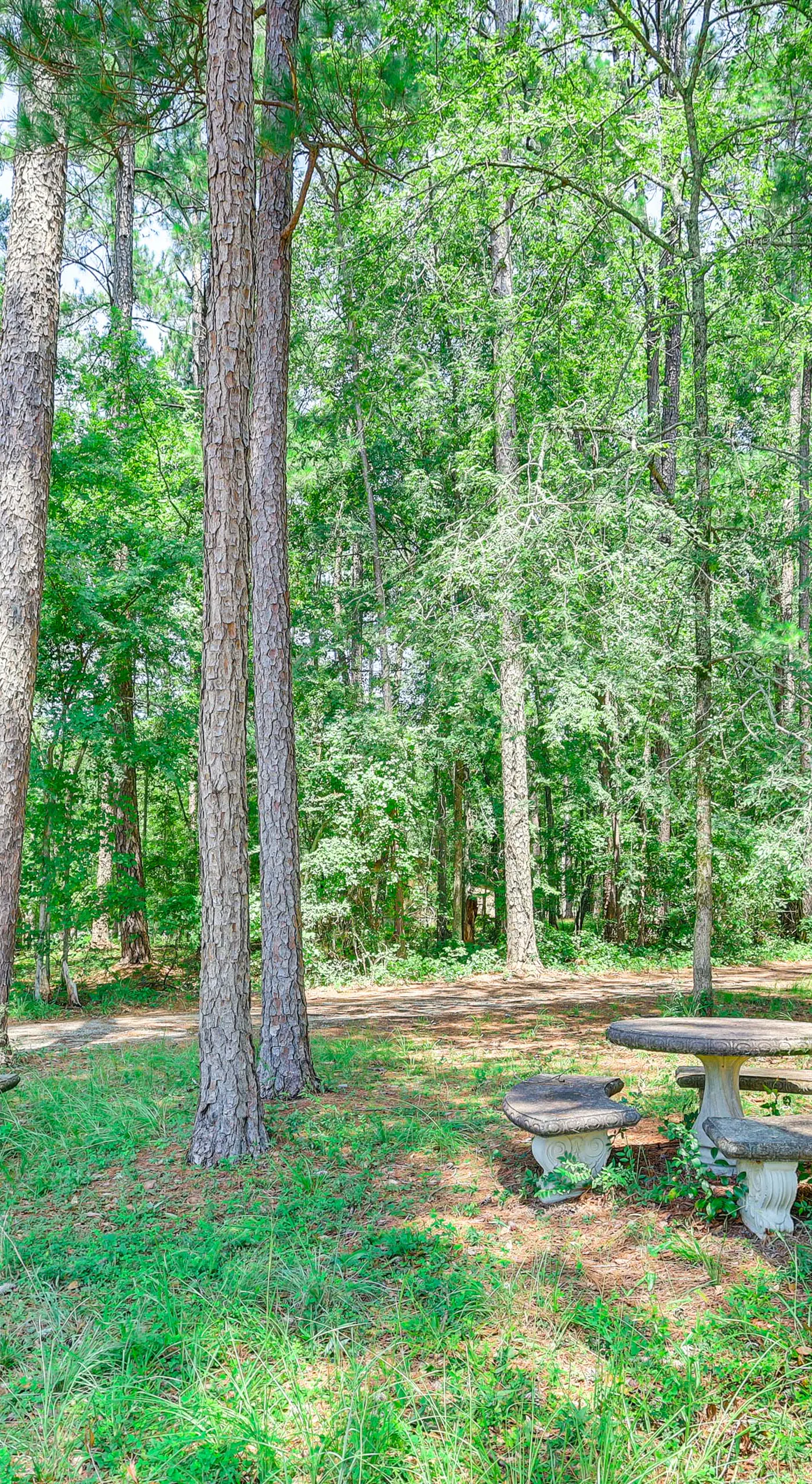 Pet-Friendly Sparta Retreat: Porches & Fire Pit!