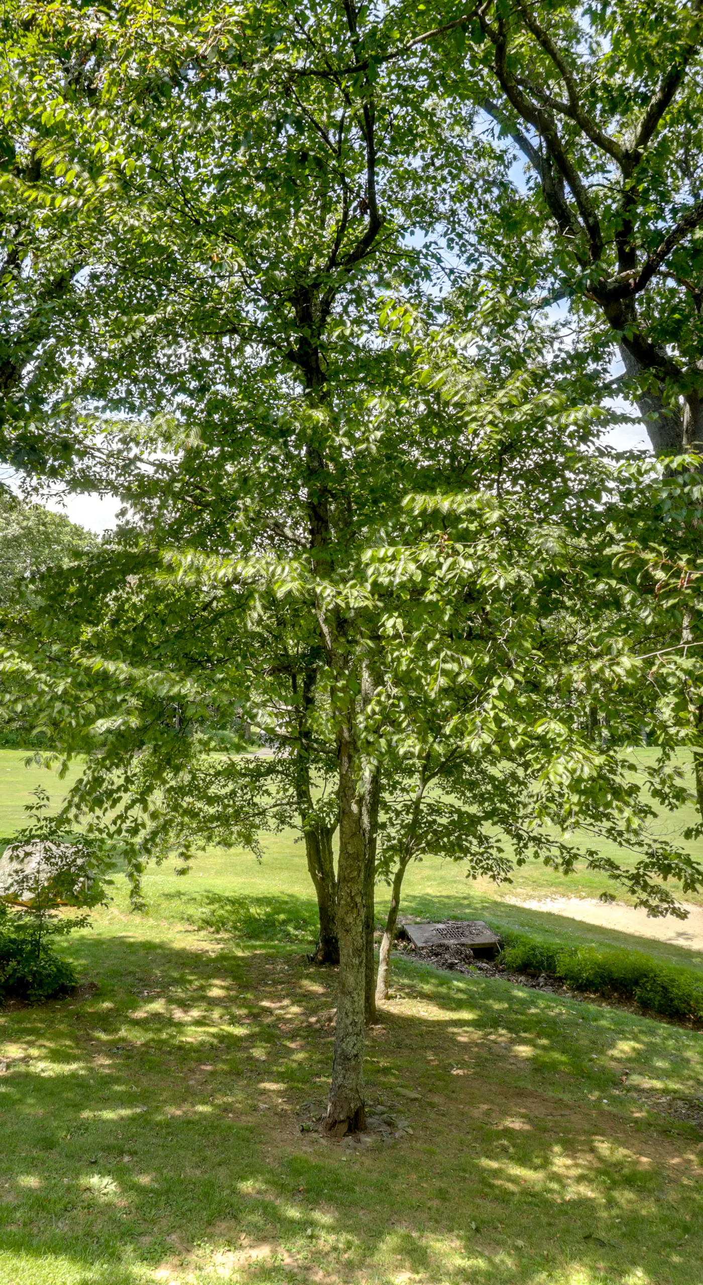 Wintergreen Resort Vacation Rental w/ Balcony!