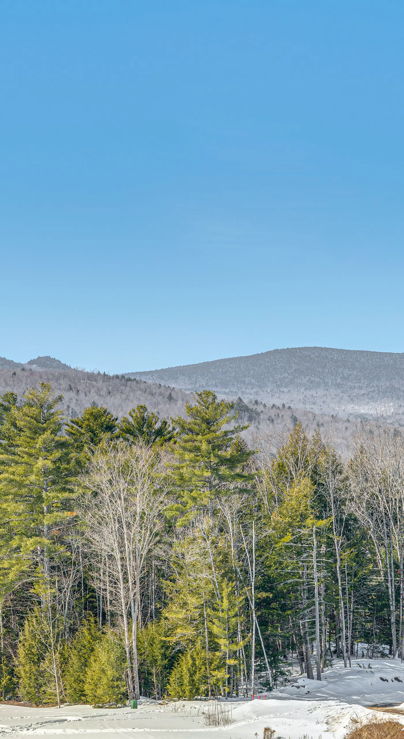 Mtn Views + Resort Perks: Cozy Cottage in Thornton