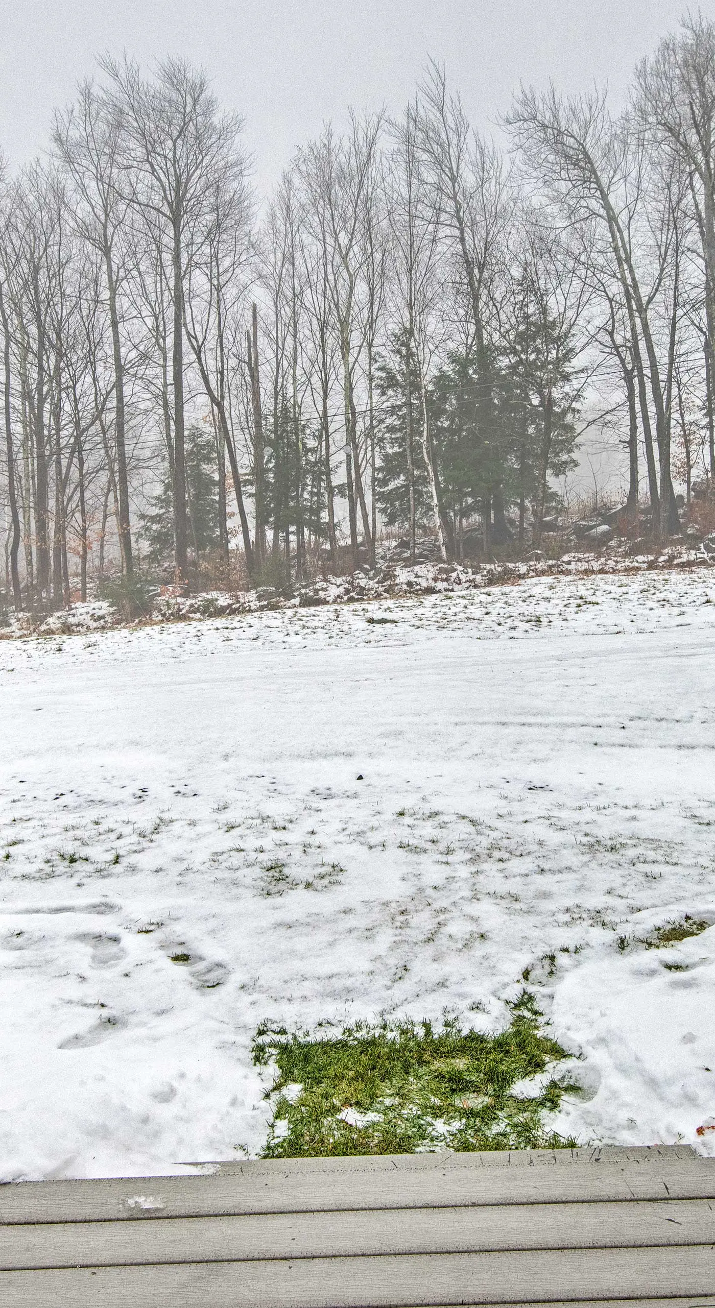 Near Newfound Lake: Plymouth Condo w/ Fireplace!