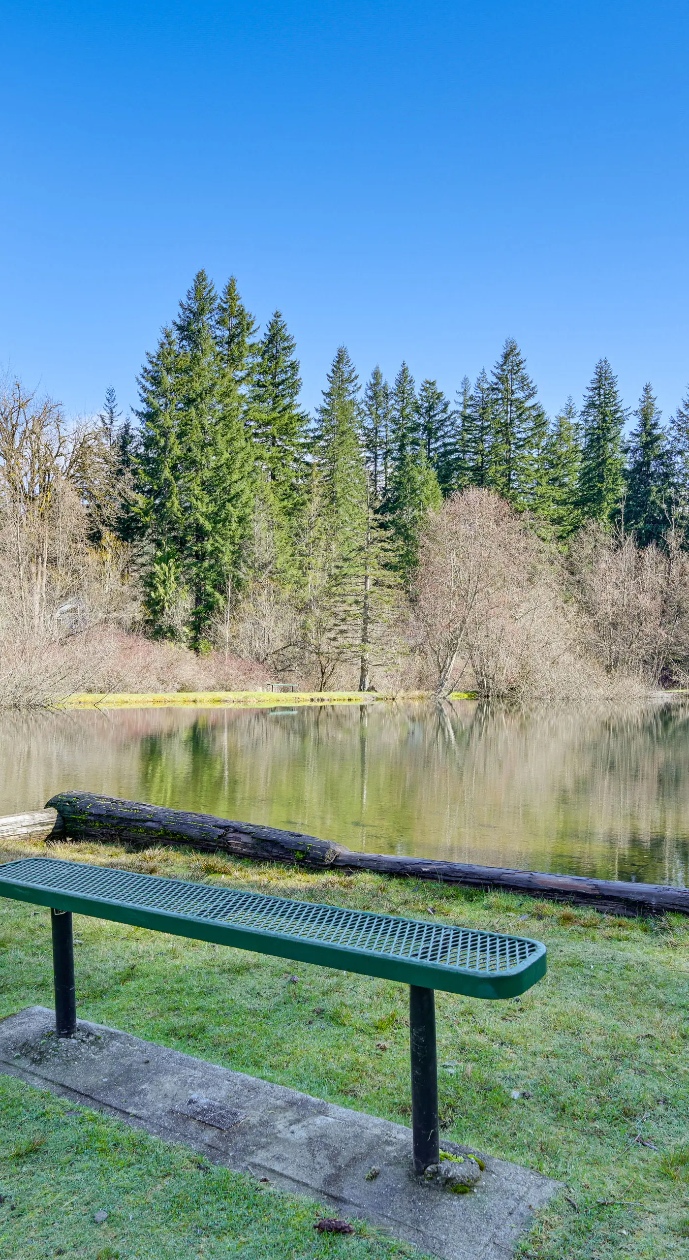 Cozy Ashford Home - 5 Mi to Rainier Nat'l Park!
