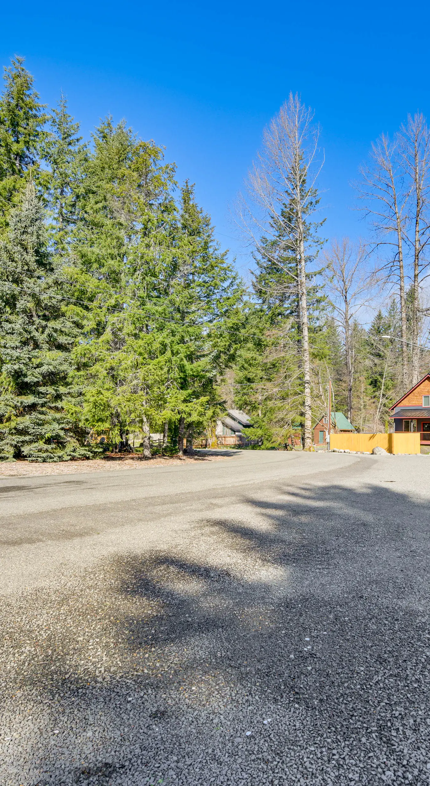 Cozy Ashford Home - 5 Mi to Rainier Nat'l Park!