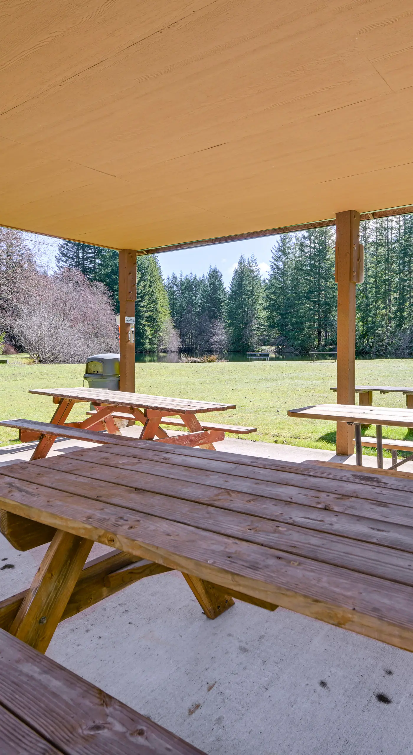 Cozy Ashford Home - 5 Mi to Rainier Nat'l Park!