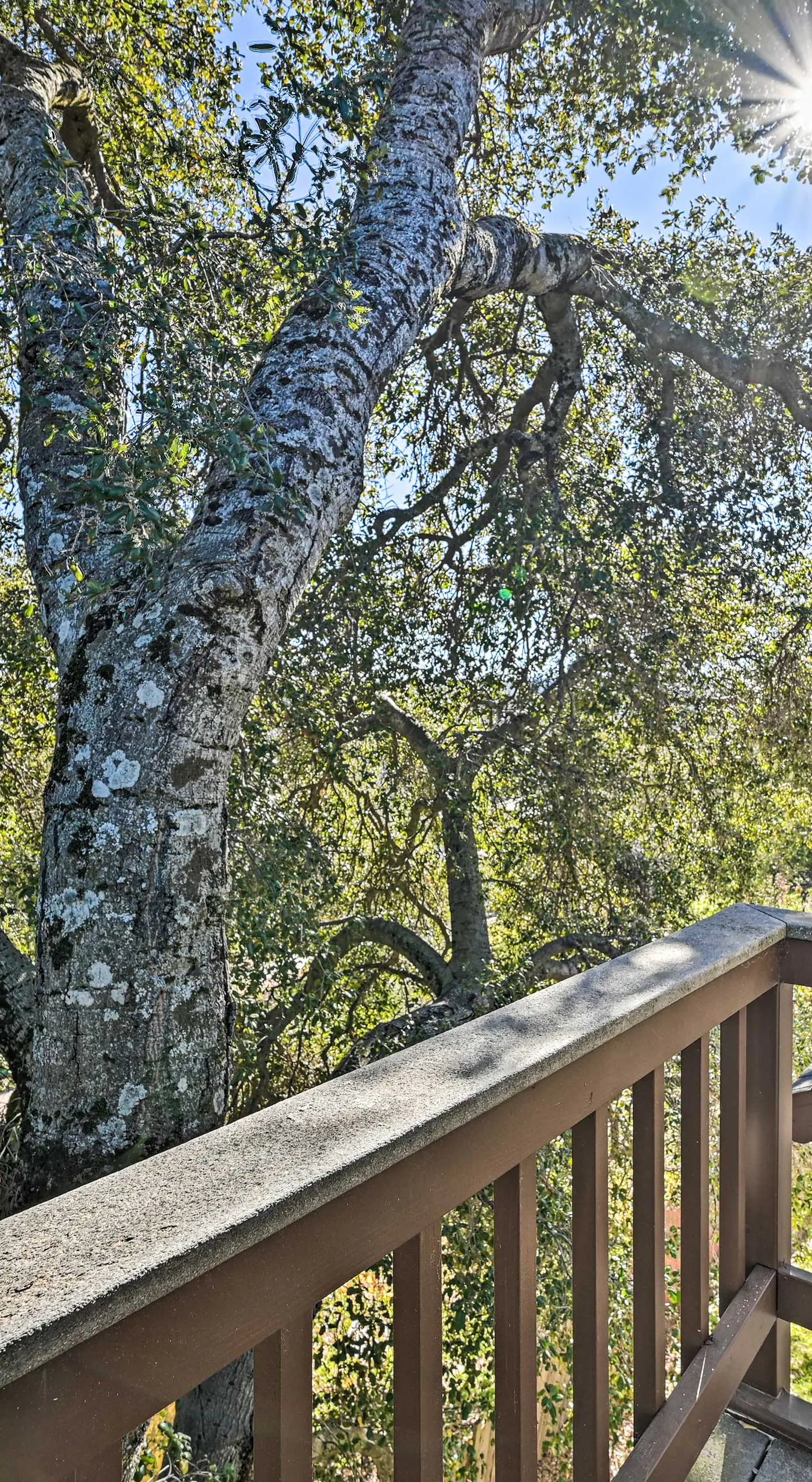 Inviting Julian Home w/ Scenic View & Hot Tub