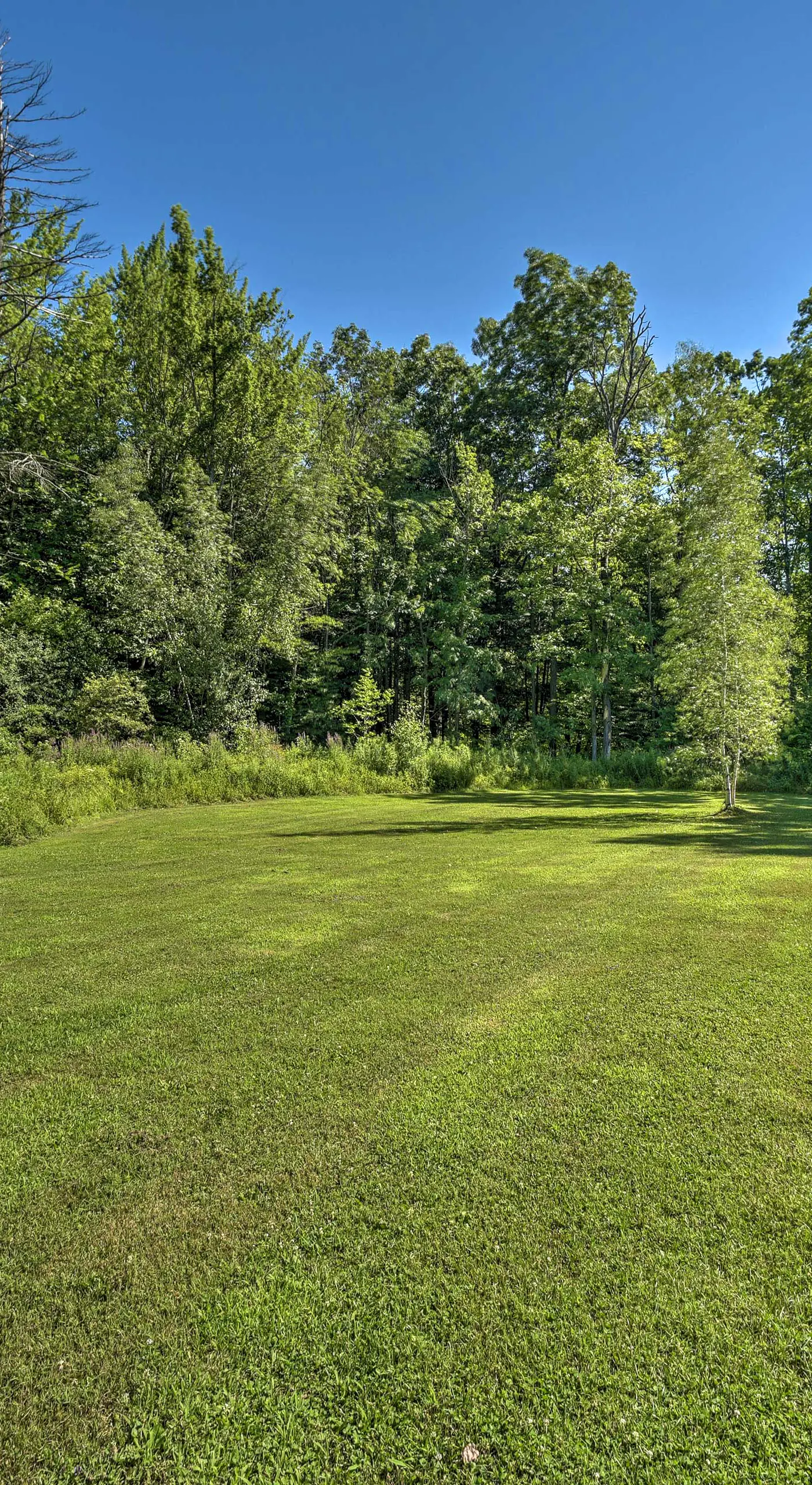 Modern Studio < 13 Mi to Saratoga Racetrack!