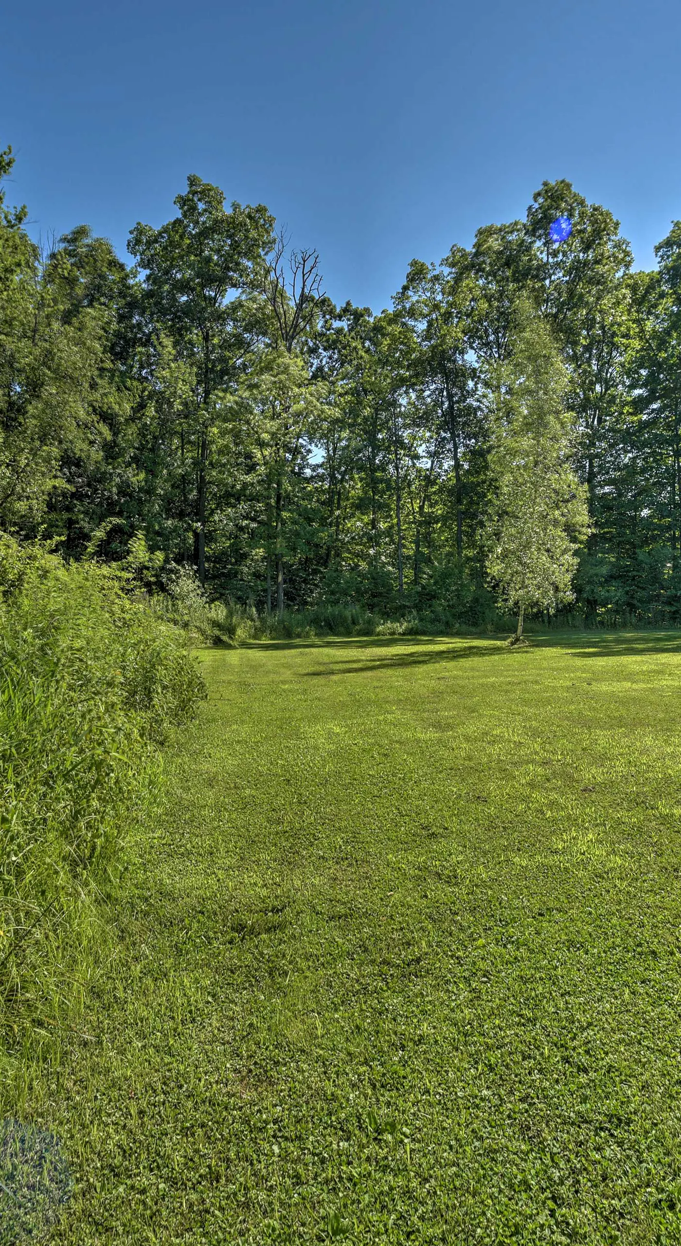 Modern Studio < 13 Mi to Saratoga Racetrack!
