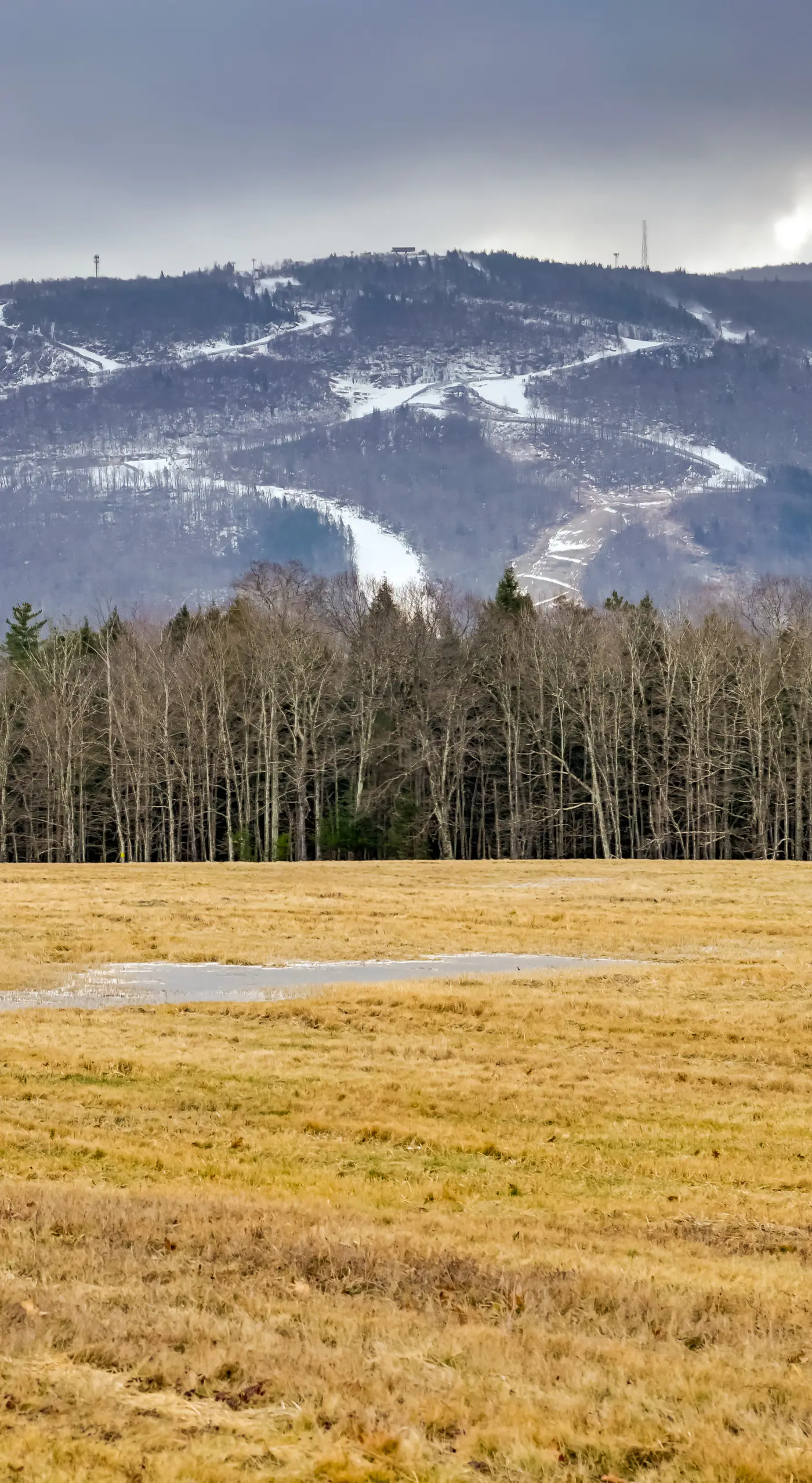 < 1 Mi to Hunter Mtn Skiing: Family-Friendly Stay!