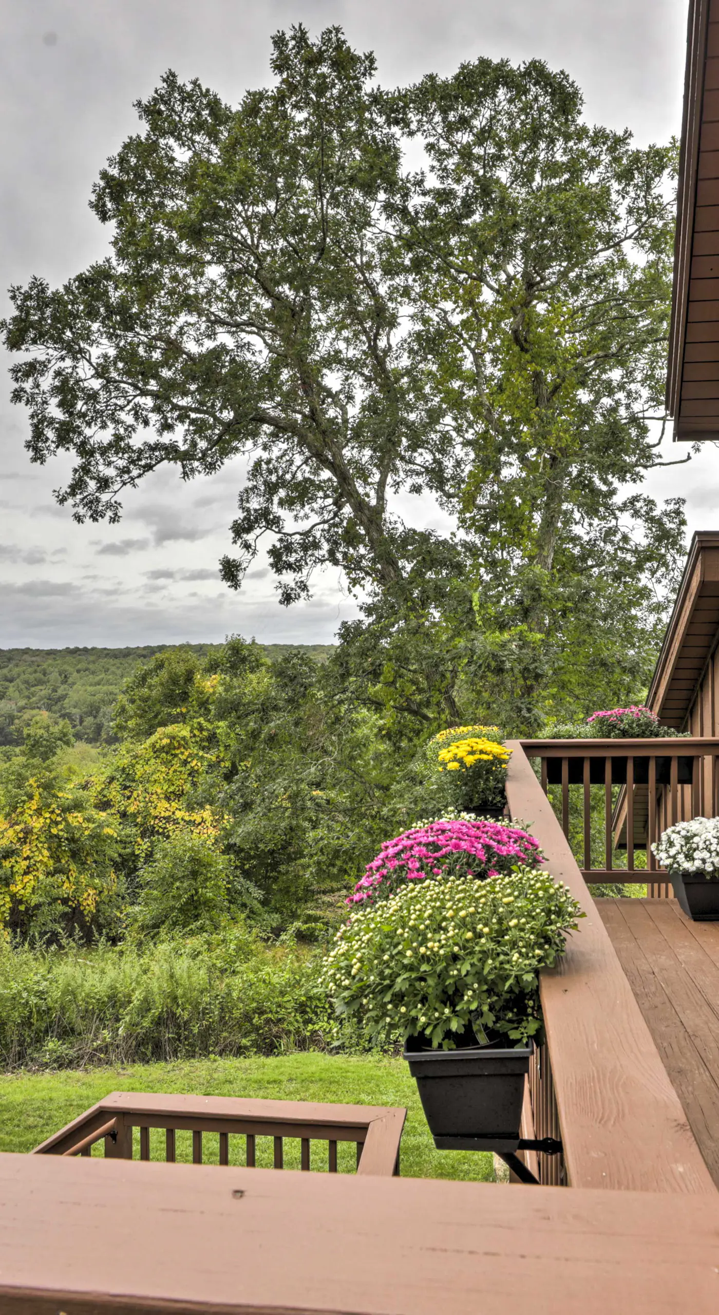 Private Guest House w/ Deck + Spectacular Views!