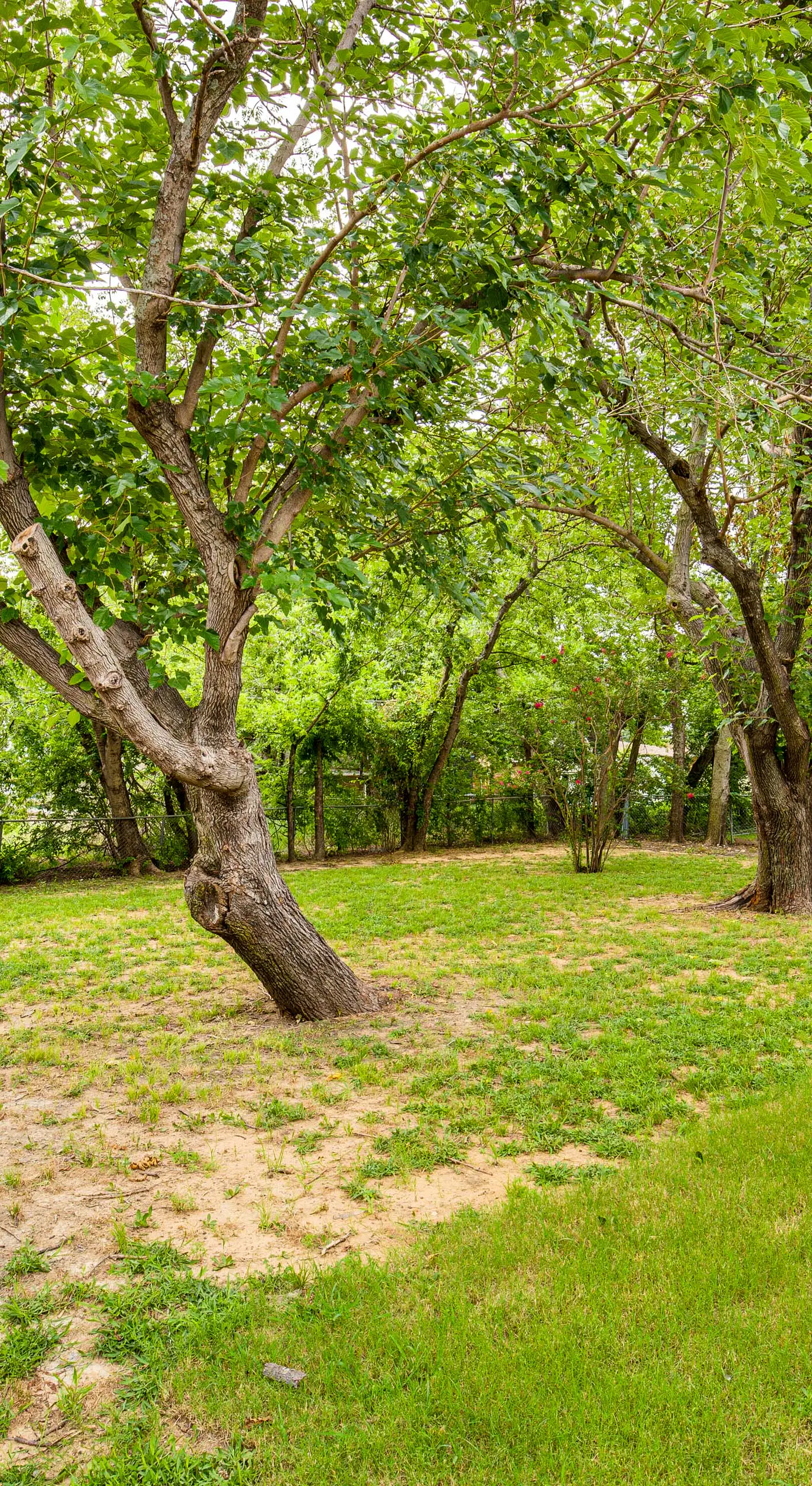 Walk to Lewisville Lake: Dog-Friendly Texas Home