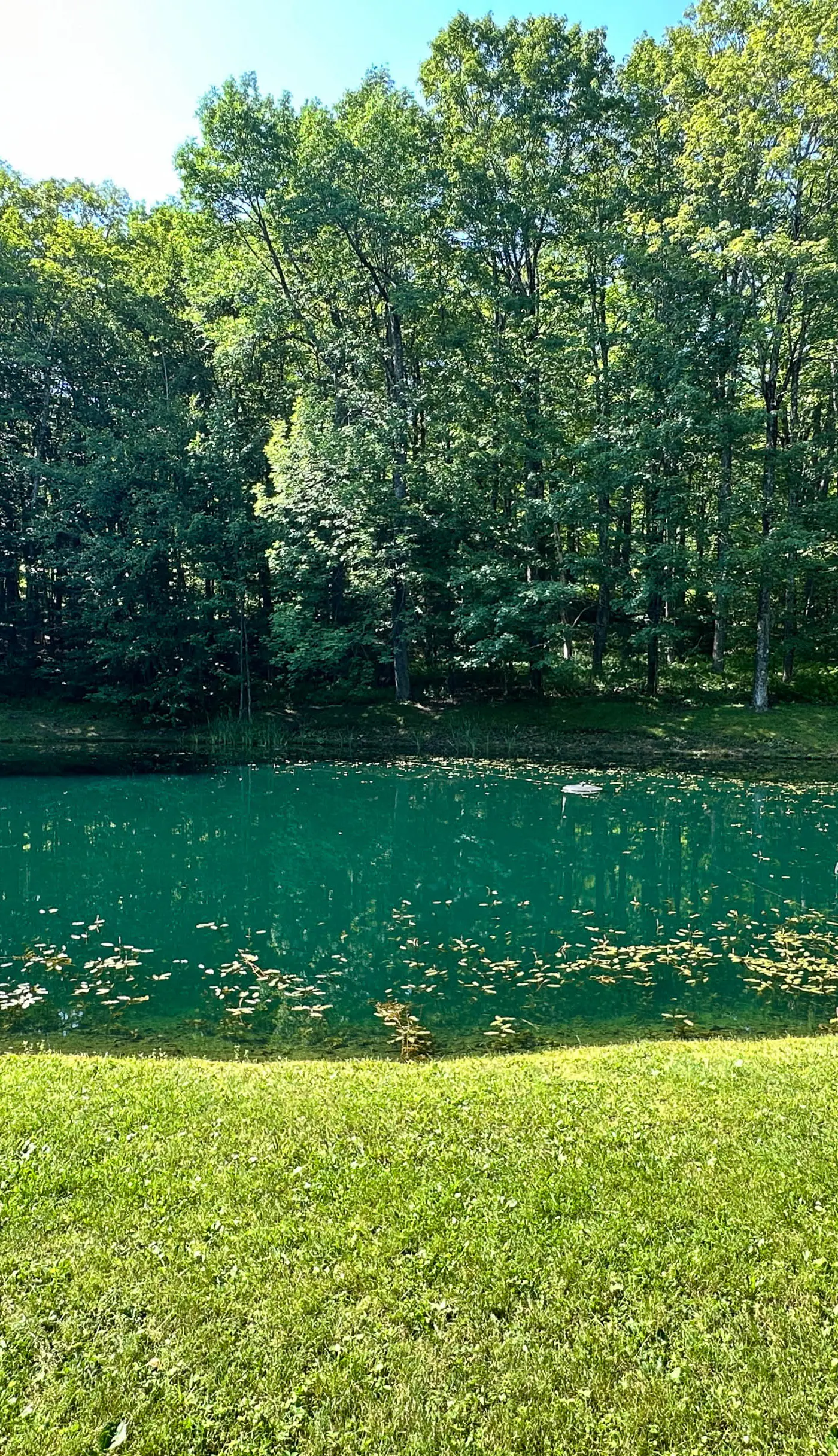 Fishing Pond + Pool! Resort Retreat in Wilmington