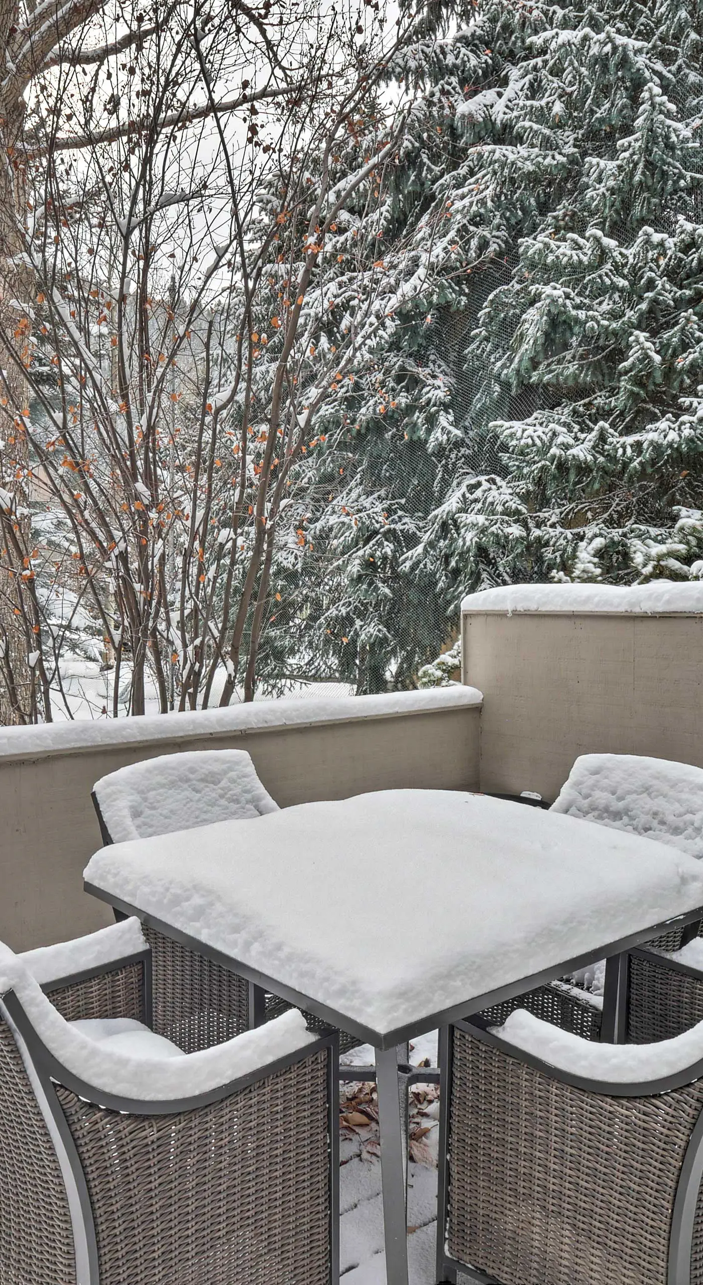 Townhome ~ 4 Mi to Beaver Creek & 8 Mi to Vail!