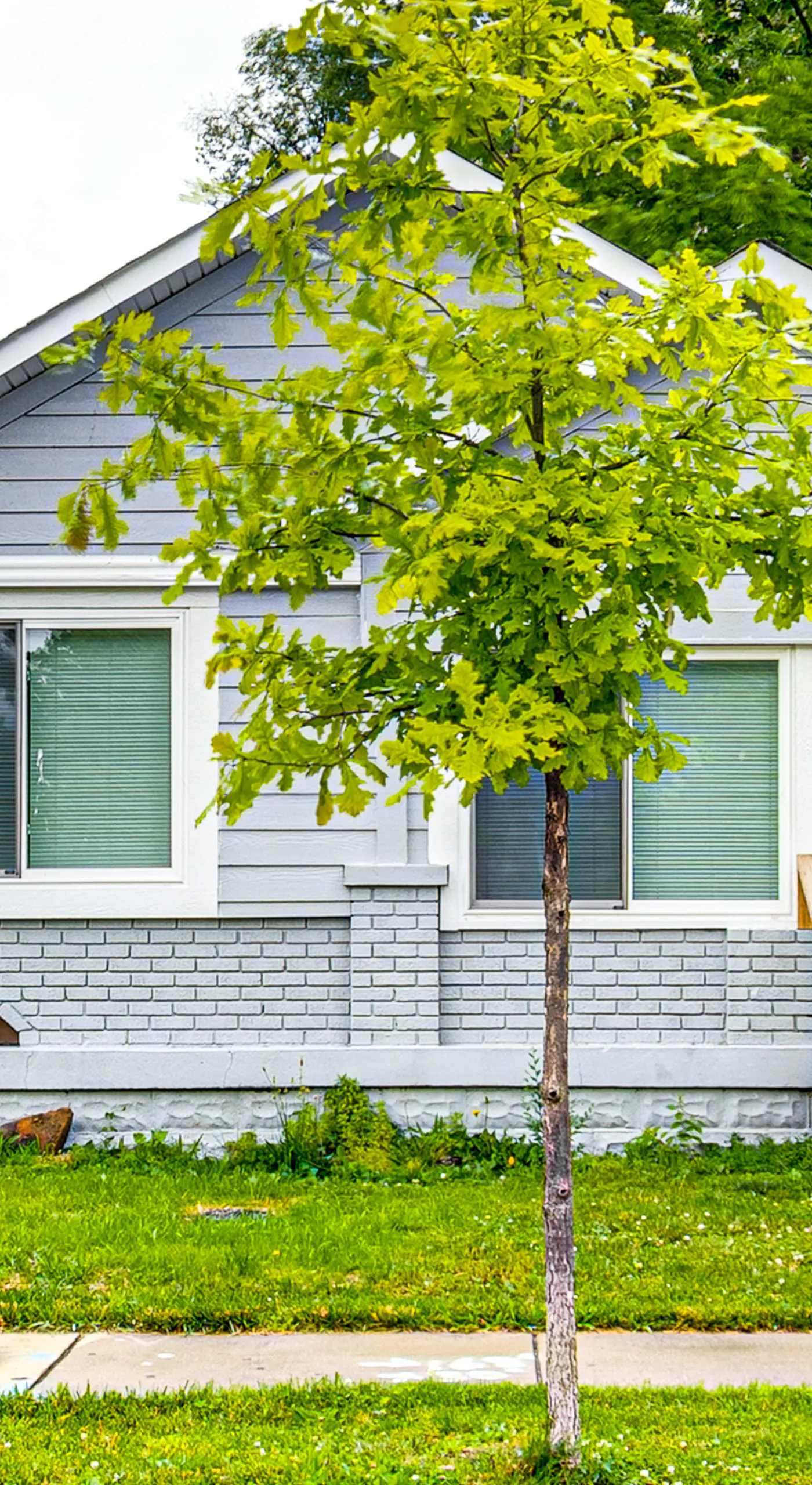 4 Mi to Dtwn Indianapolis: Quiet Apartment w/ Yard