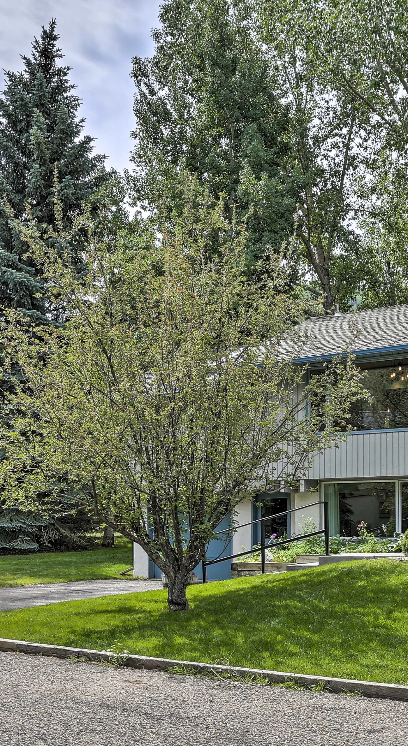 Modern Mountain Escape on Golf Course w/ Hot Tub!