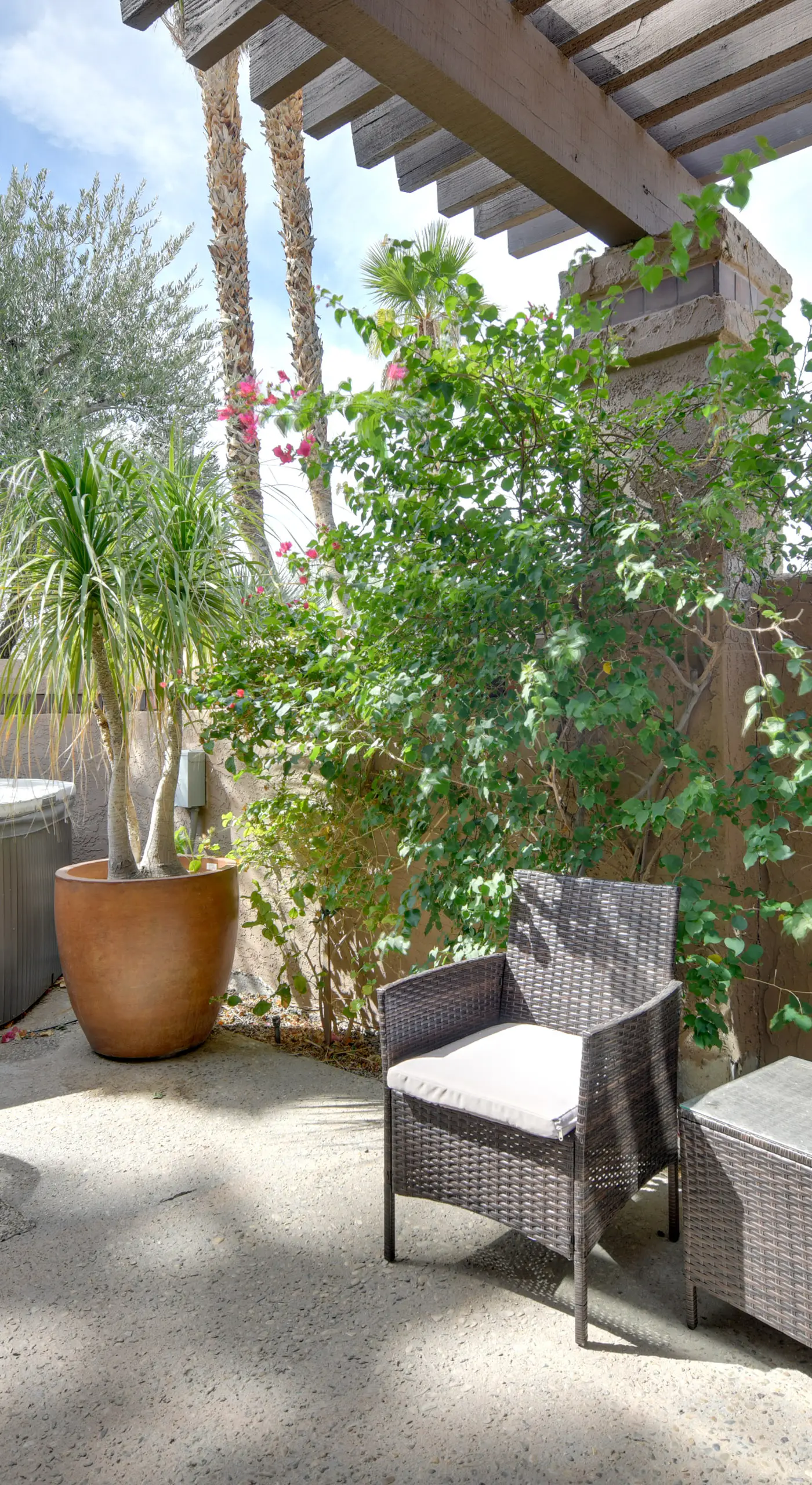 Pet Friendly Anza-Borrego Desert Retreat