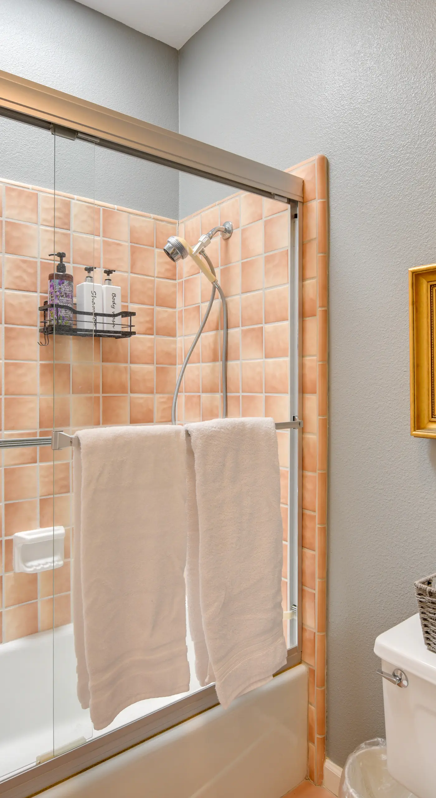 Pet Friendly Anza-Borrego Desert Retreat