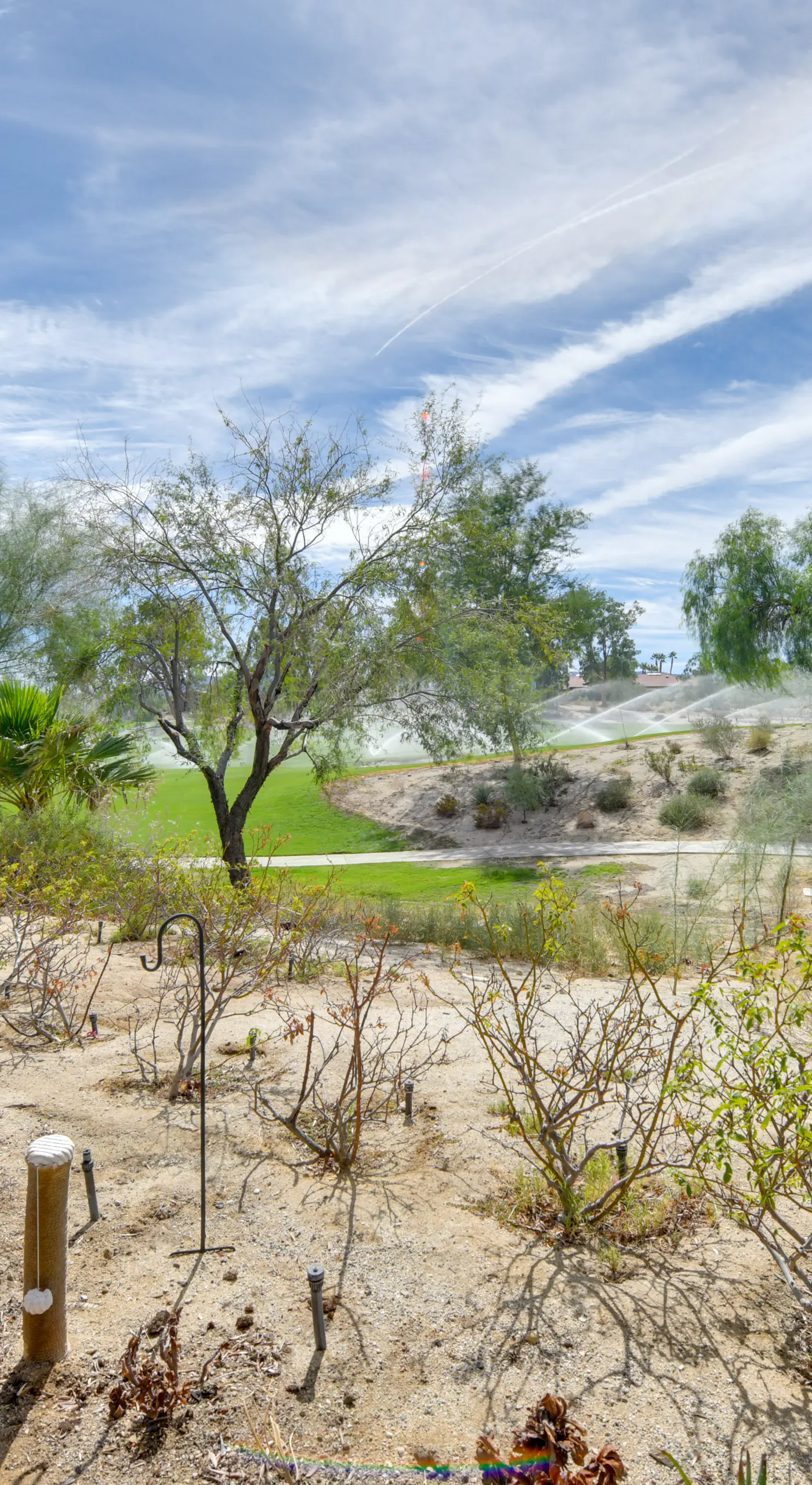 Pet Friendly Anza-Borrego Desert Retreat