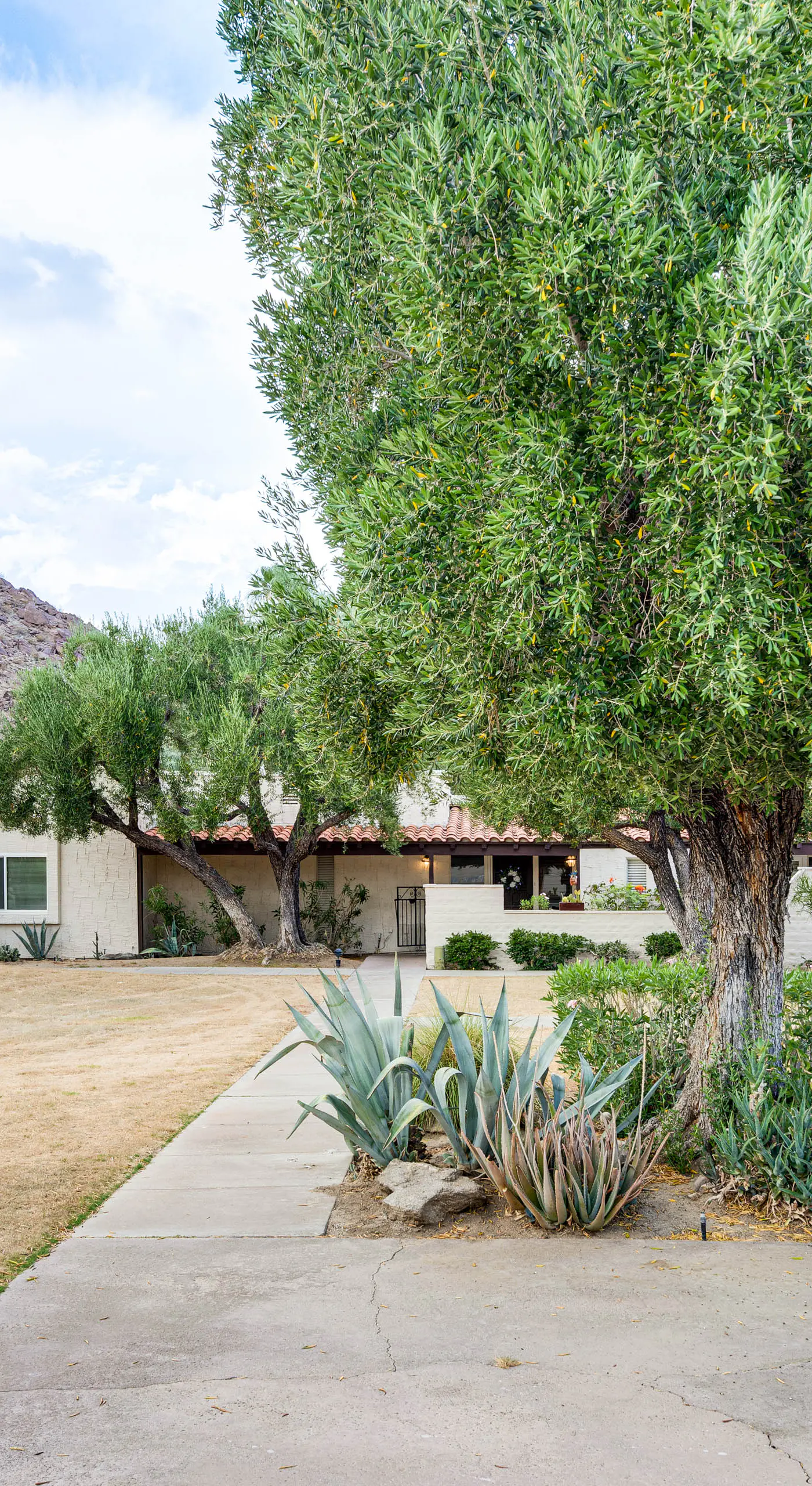 2 Mi to Galleta Meadows: Desert Golf Retreat!
