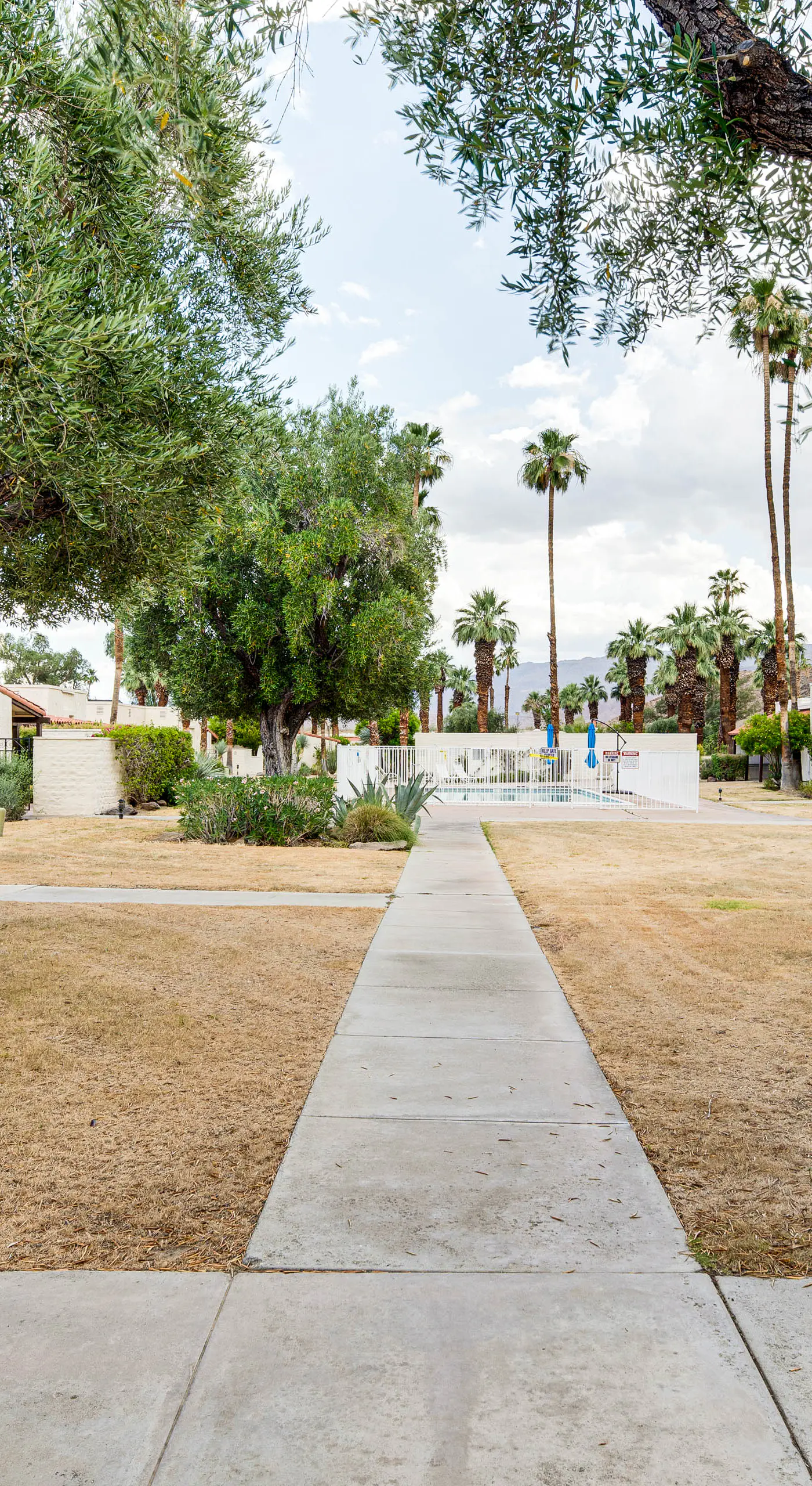 2 Mi to Galleta Meadows: Desert Golf Retreat!
