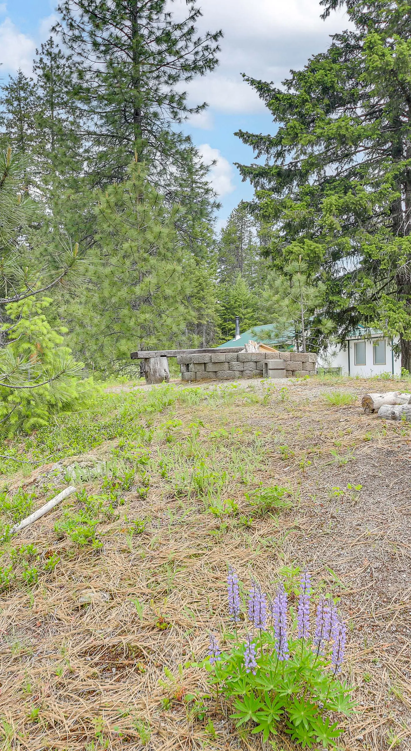 Rustic & Modern Home w/ Forest Views in Newport!