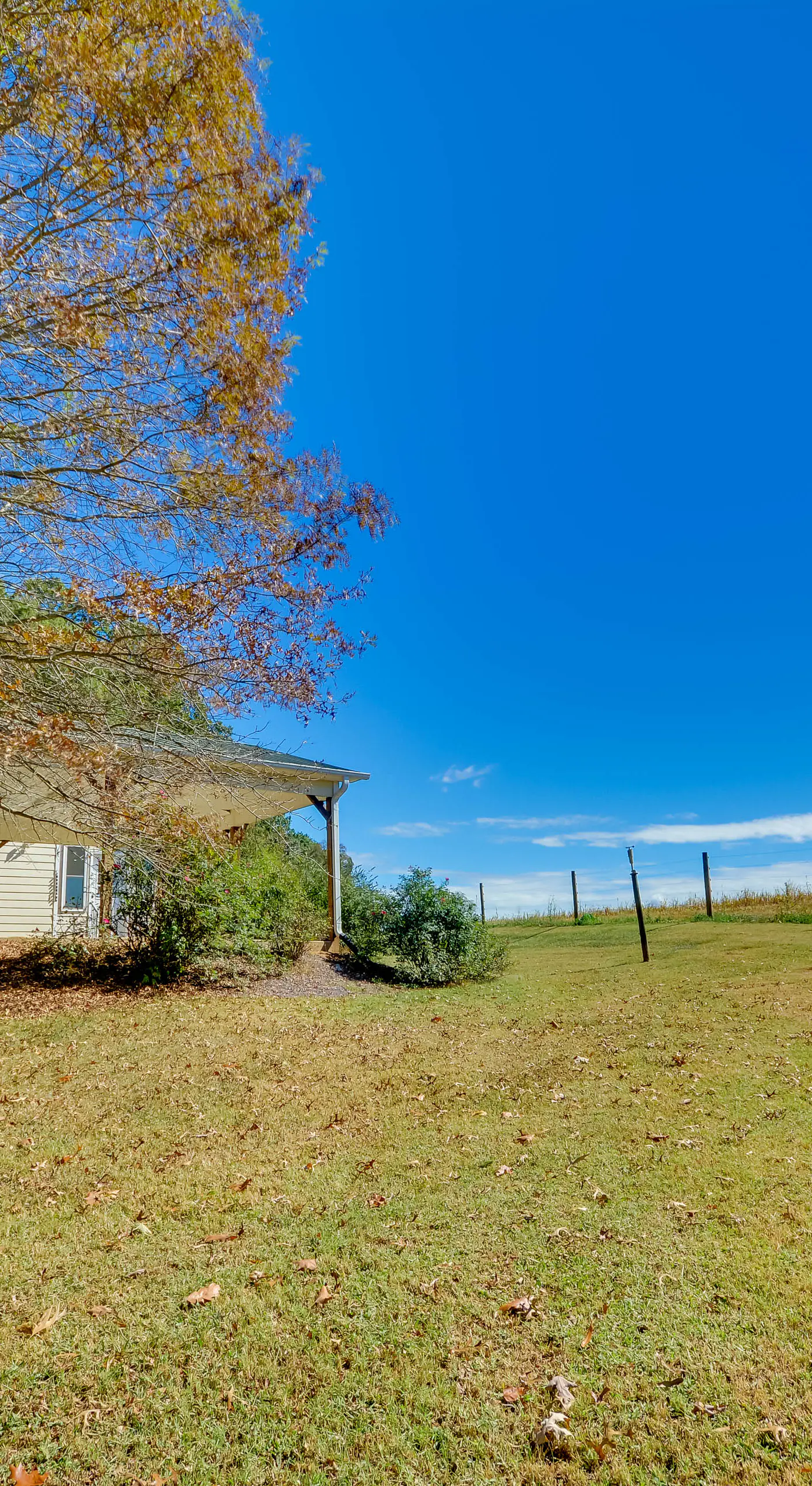 Peaceful & Convenient Country Retreat in Lexington